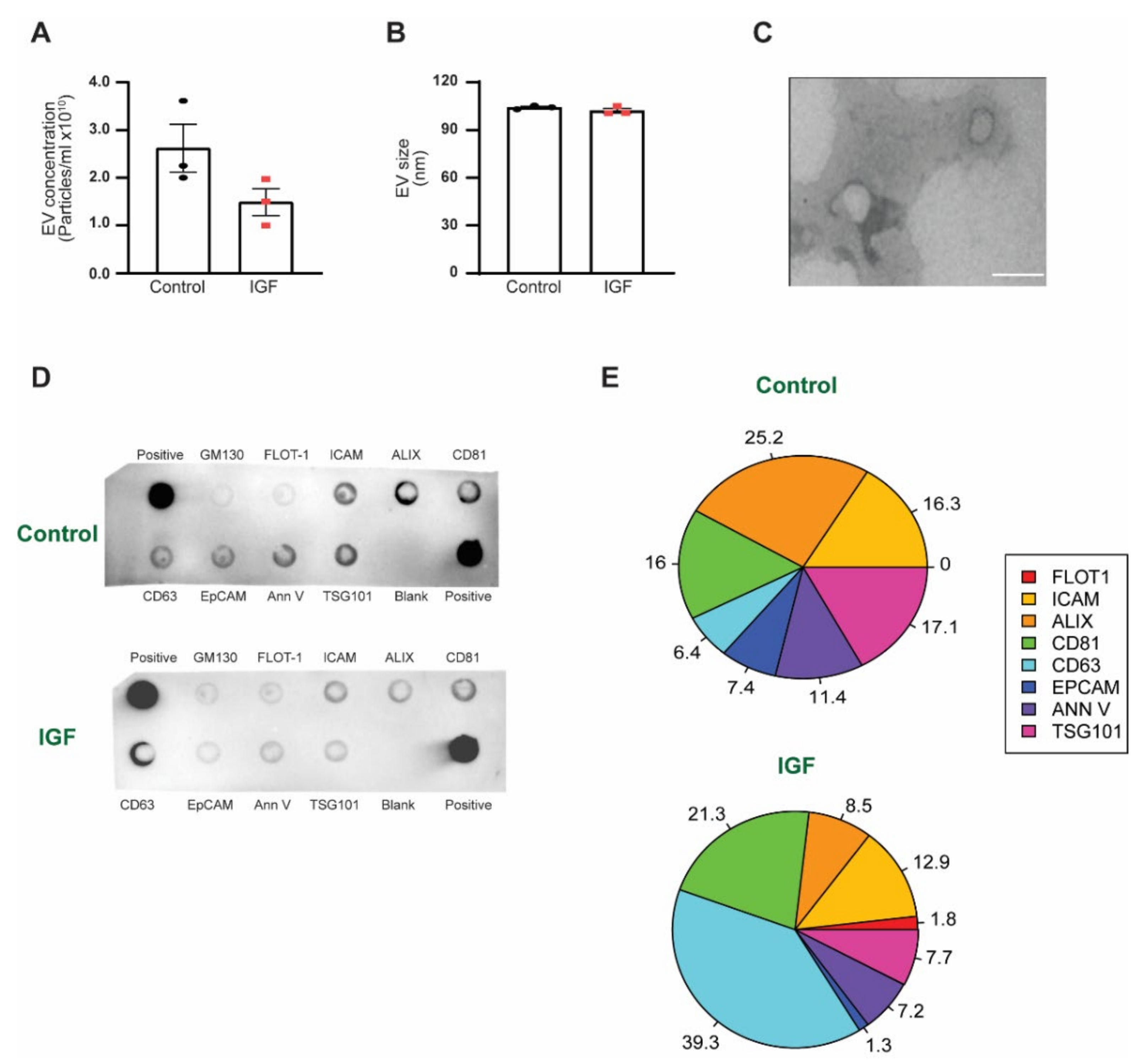 Membranes 11 00619 g001