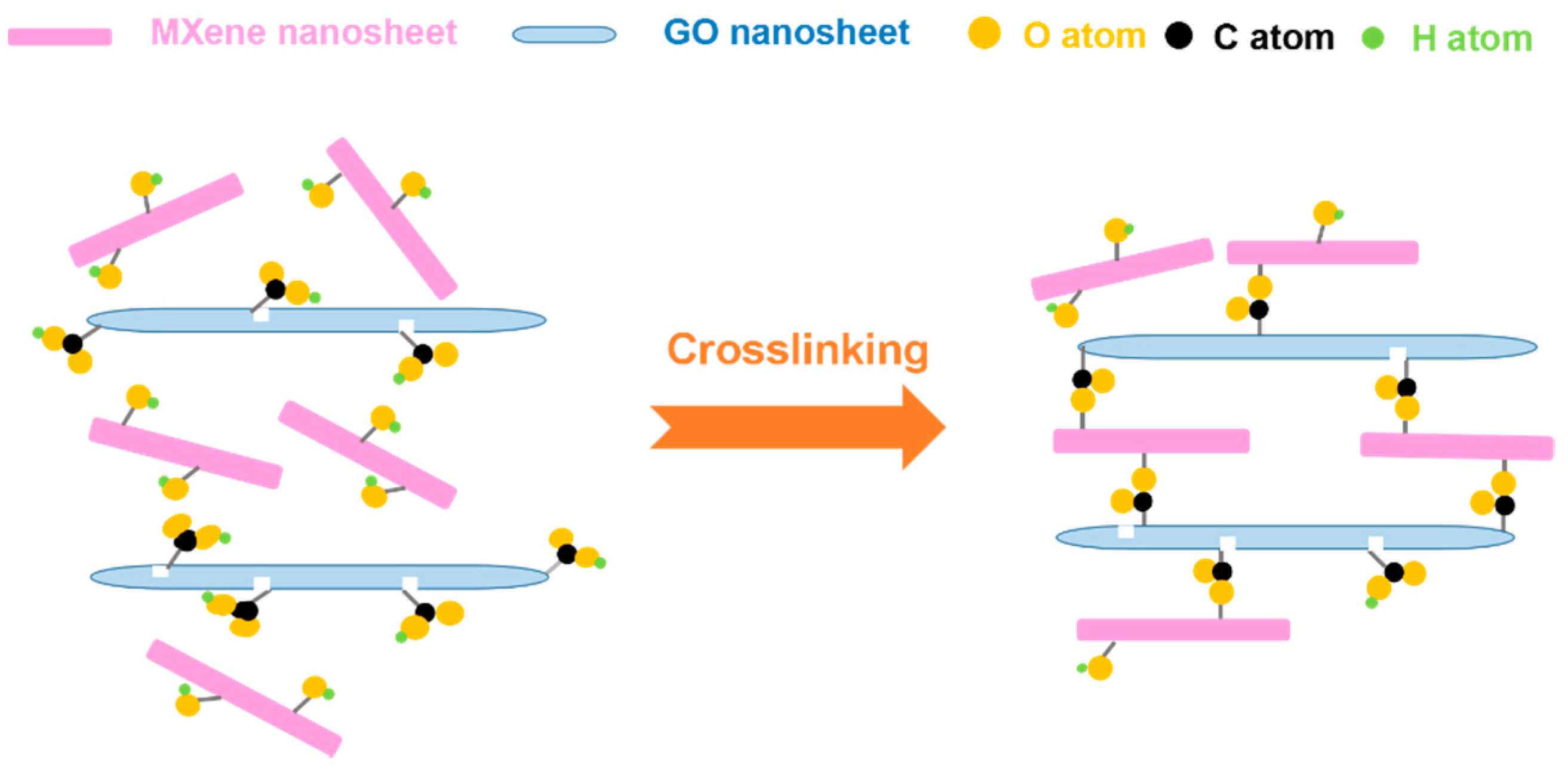 Membranes 11 00621 g001