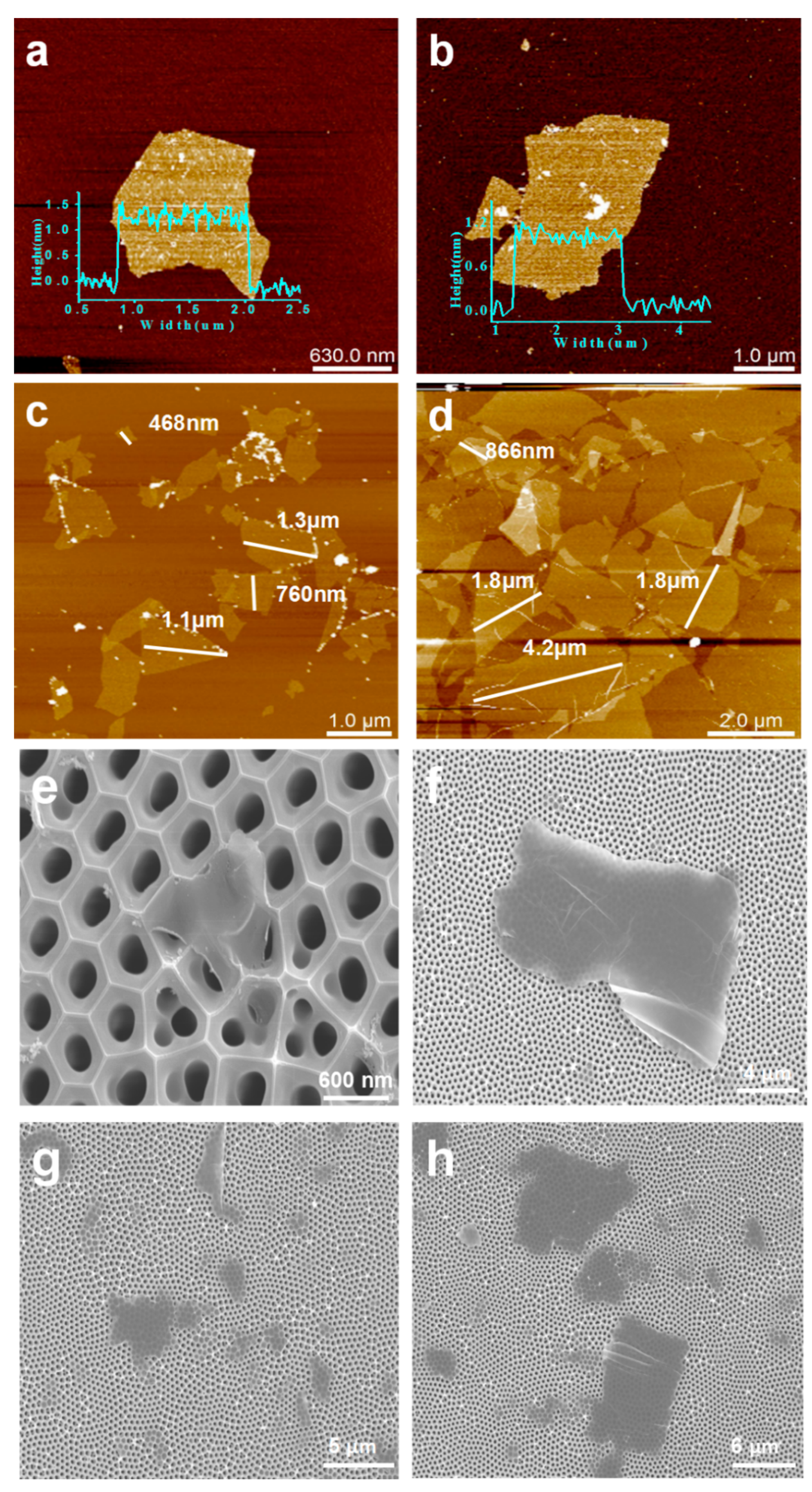 Membranes 11 00621 g003