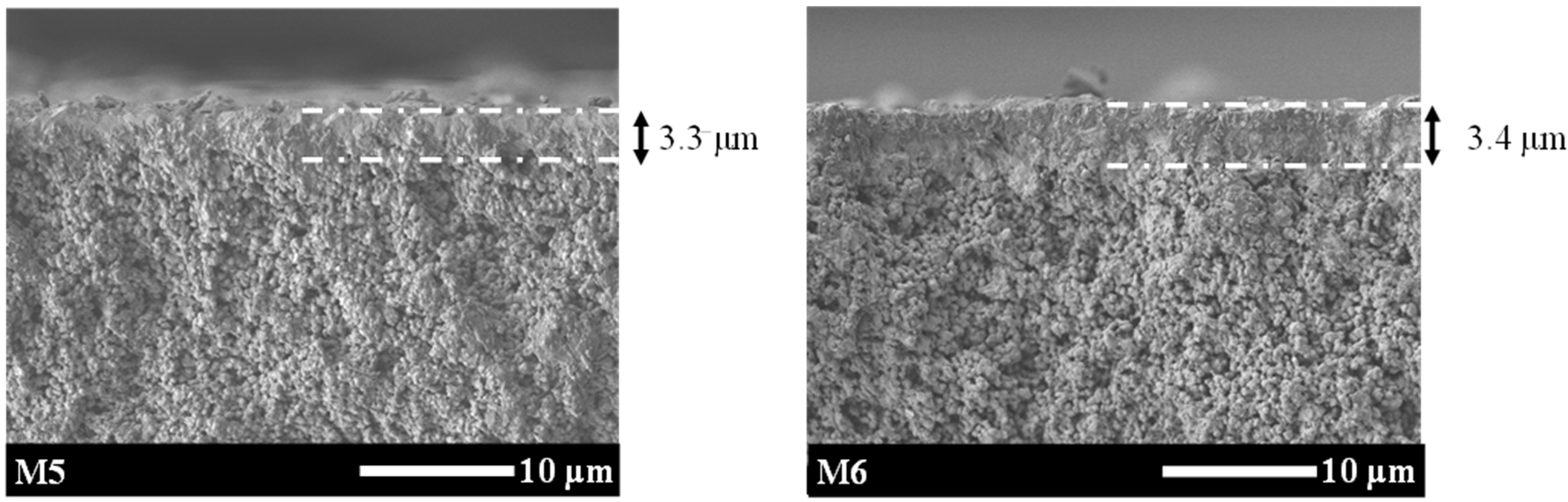 Membranes 11 00623 g010