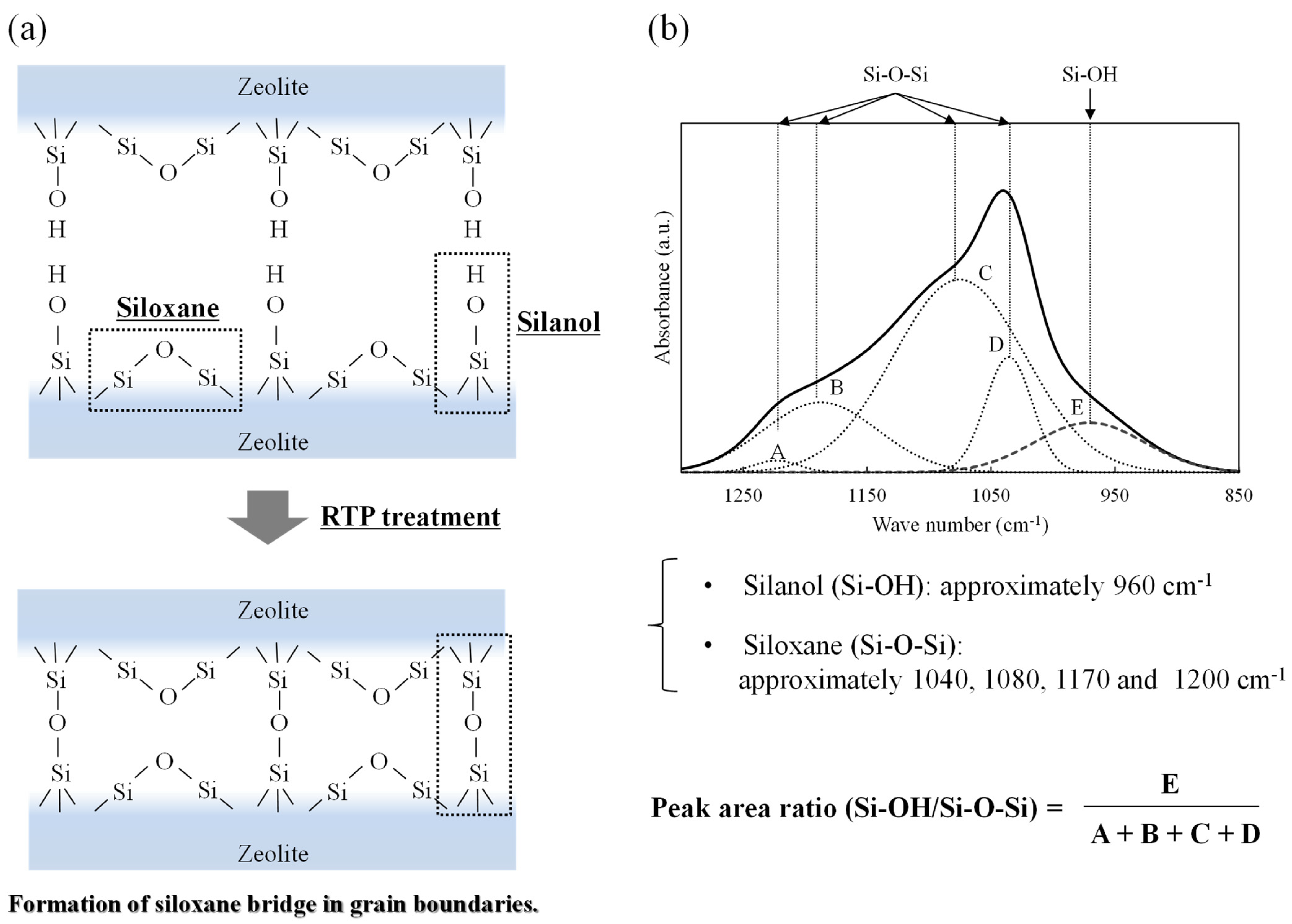 Membranes 11 00623 g011