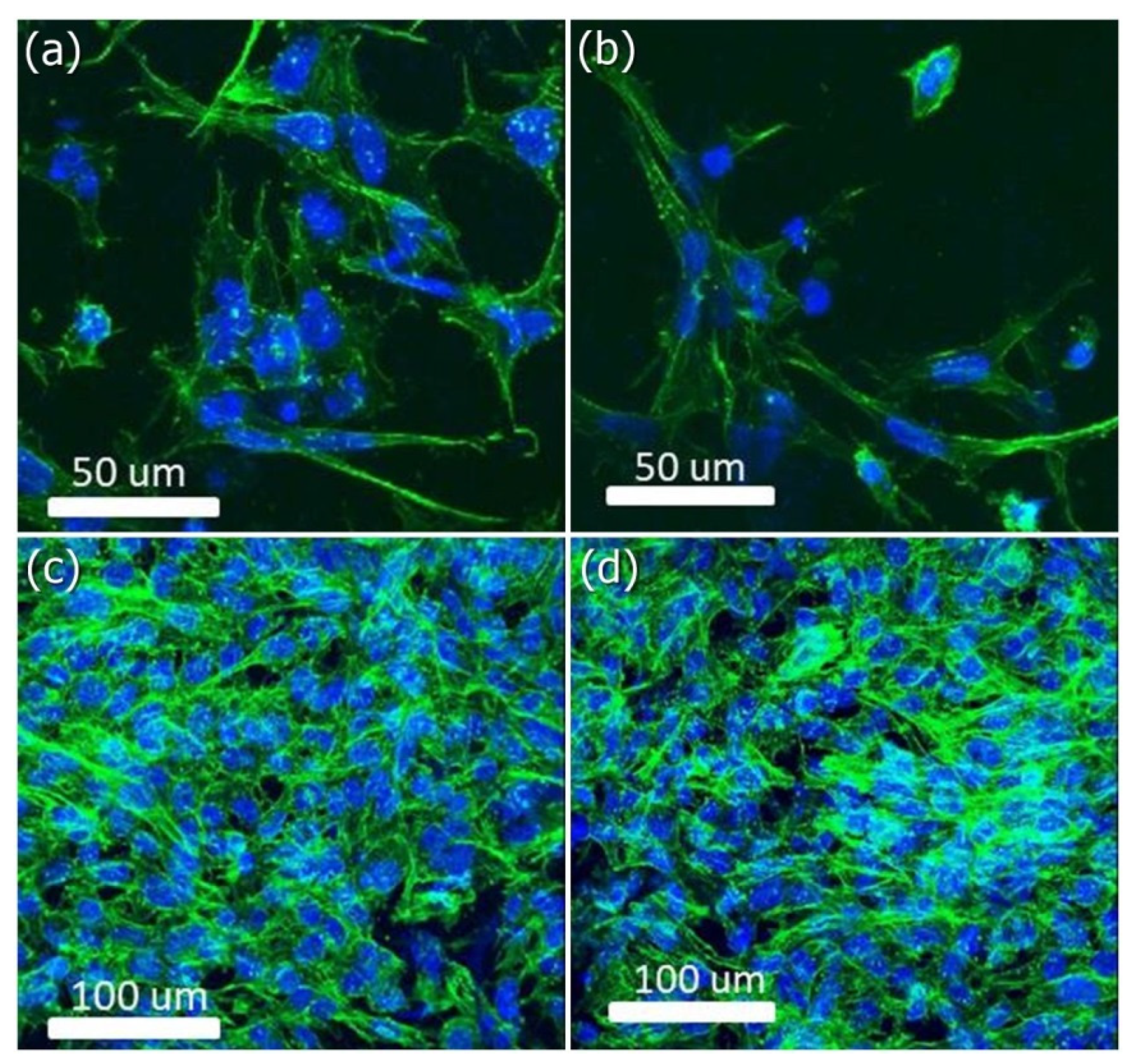 Membranes 11 00624 g004