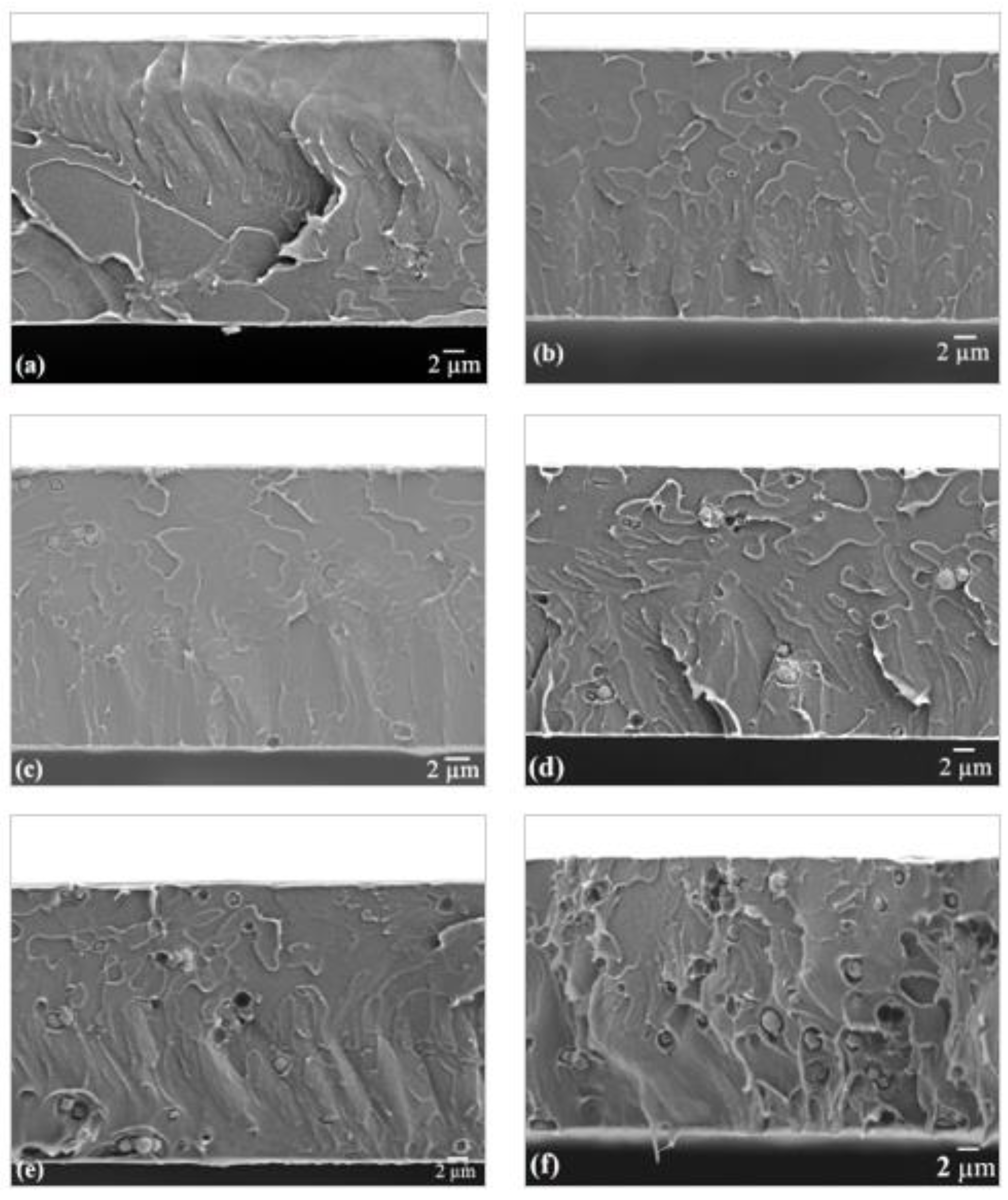 Membranes 11 00630 g010