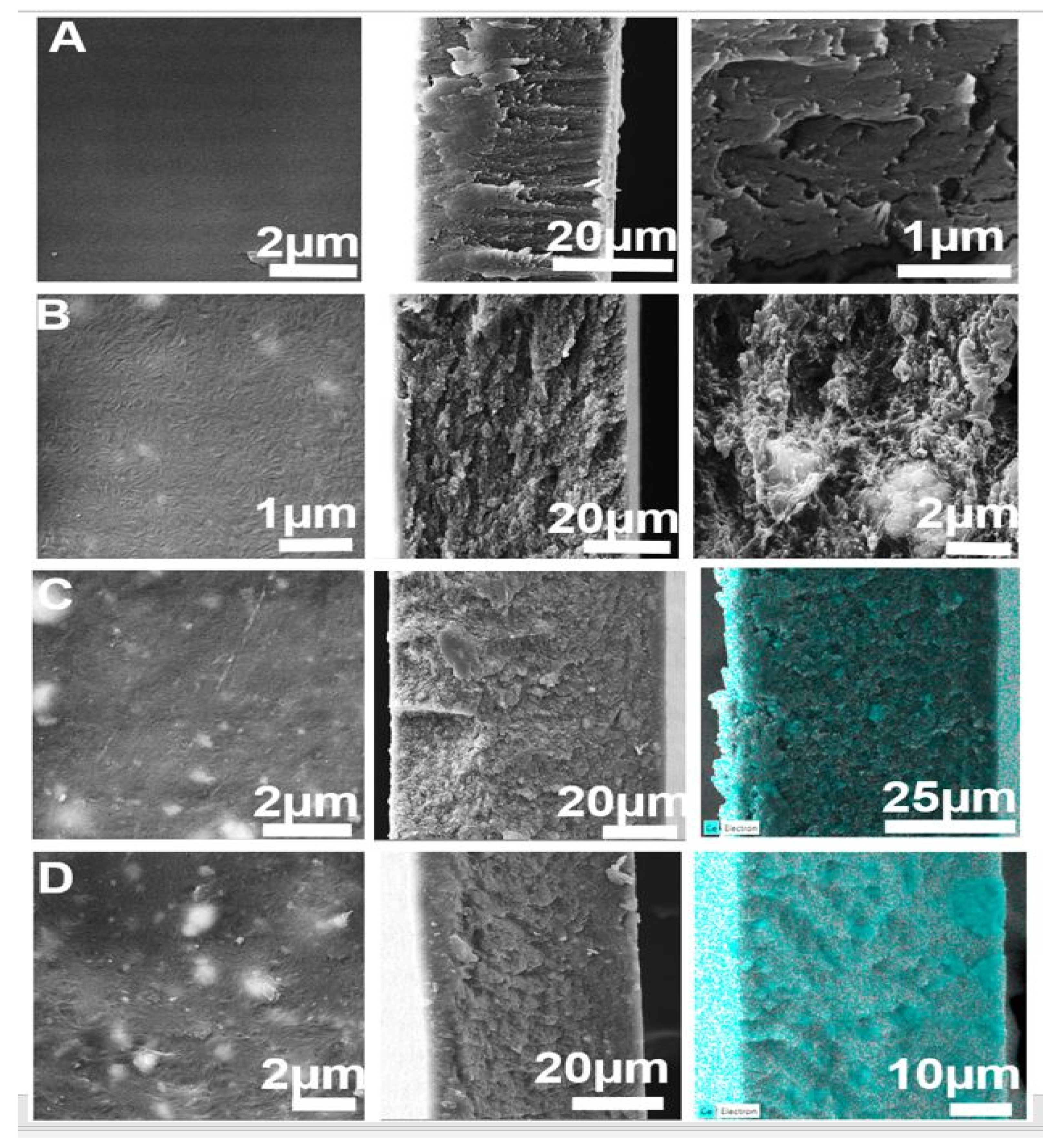 Membranes 11 00632 g003