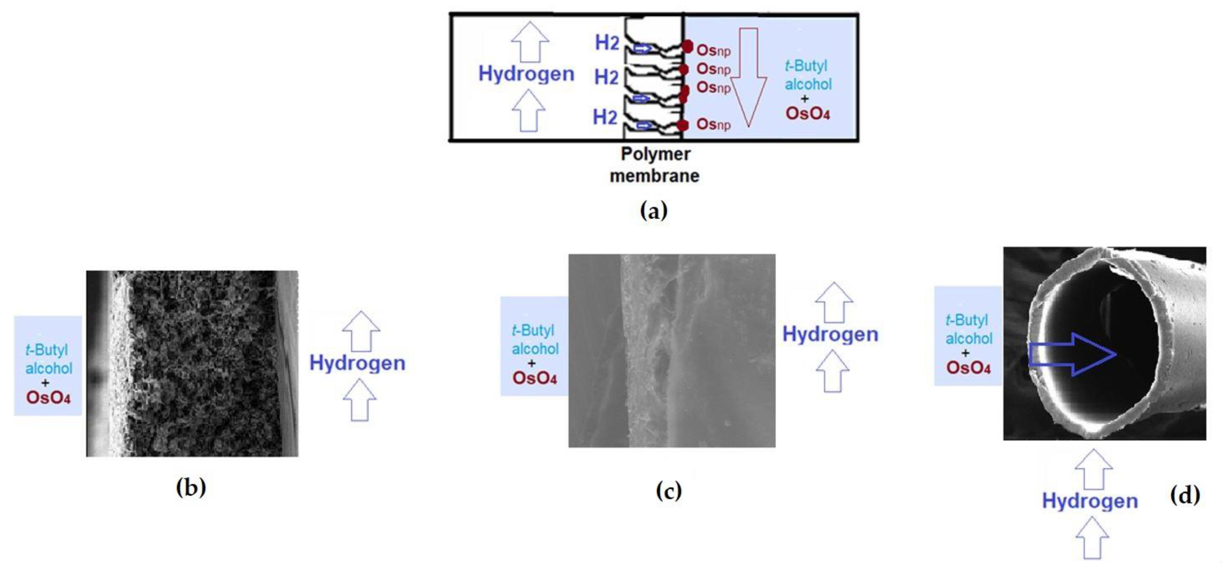 Membranes 11 00633 g004 550