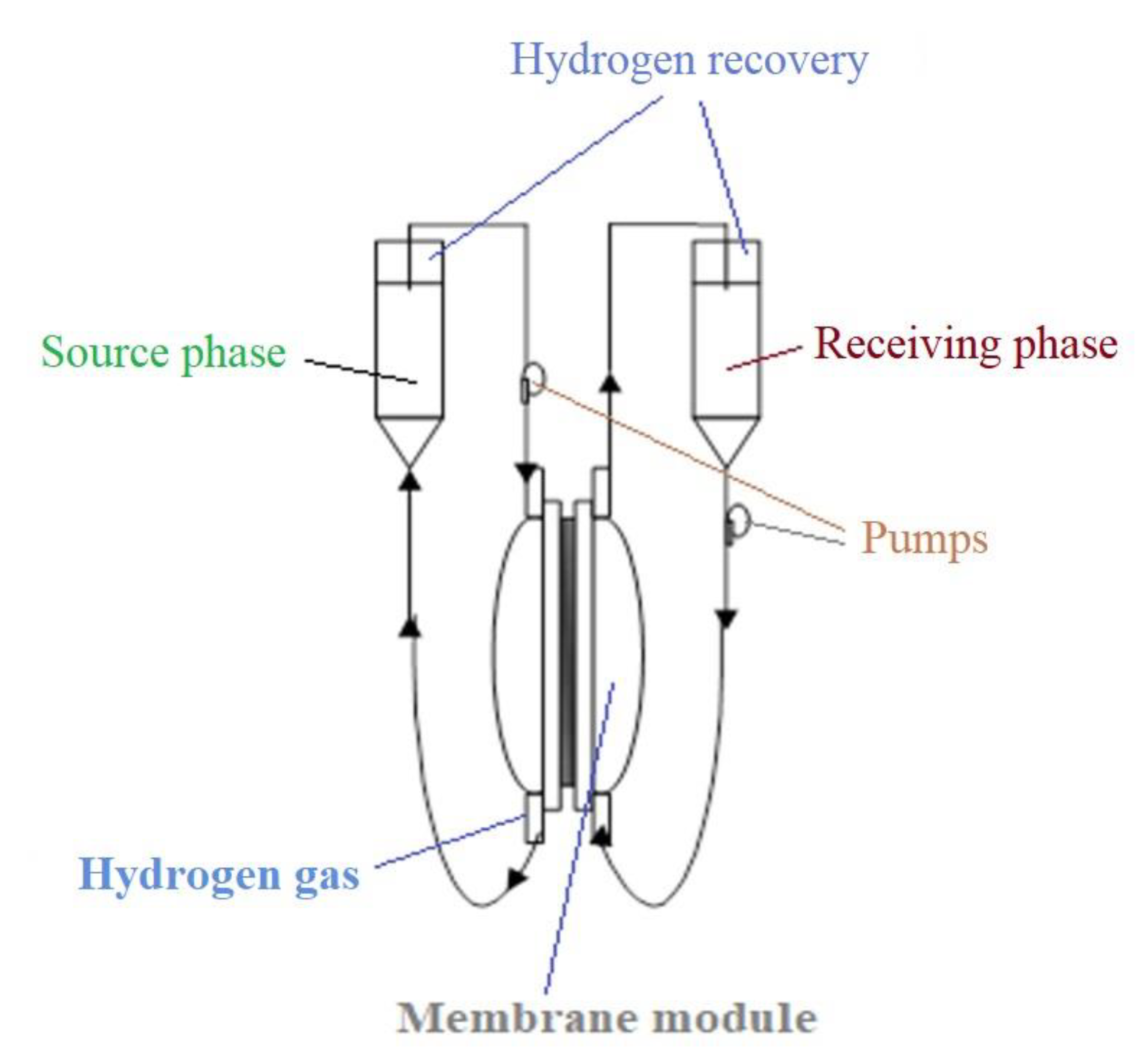 Membranes 11 00633 g005 550