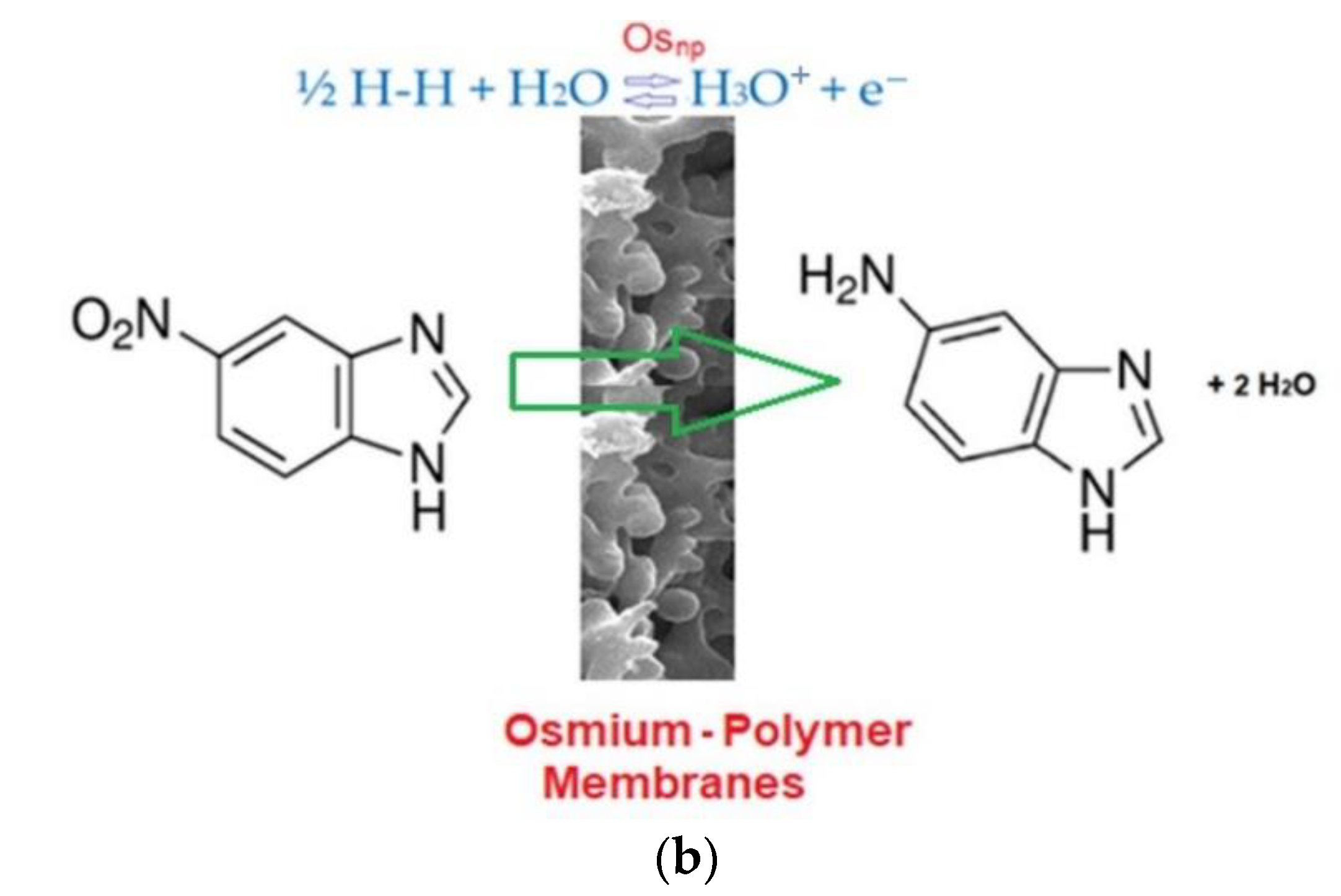 Membranes 11 00633 g006b 550