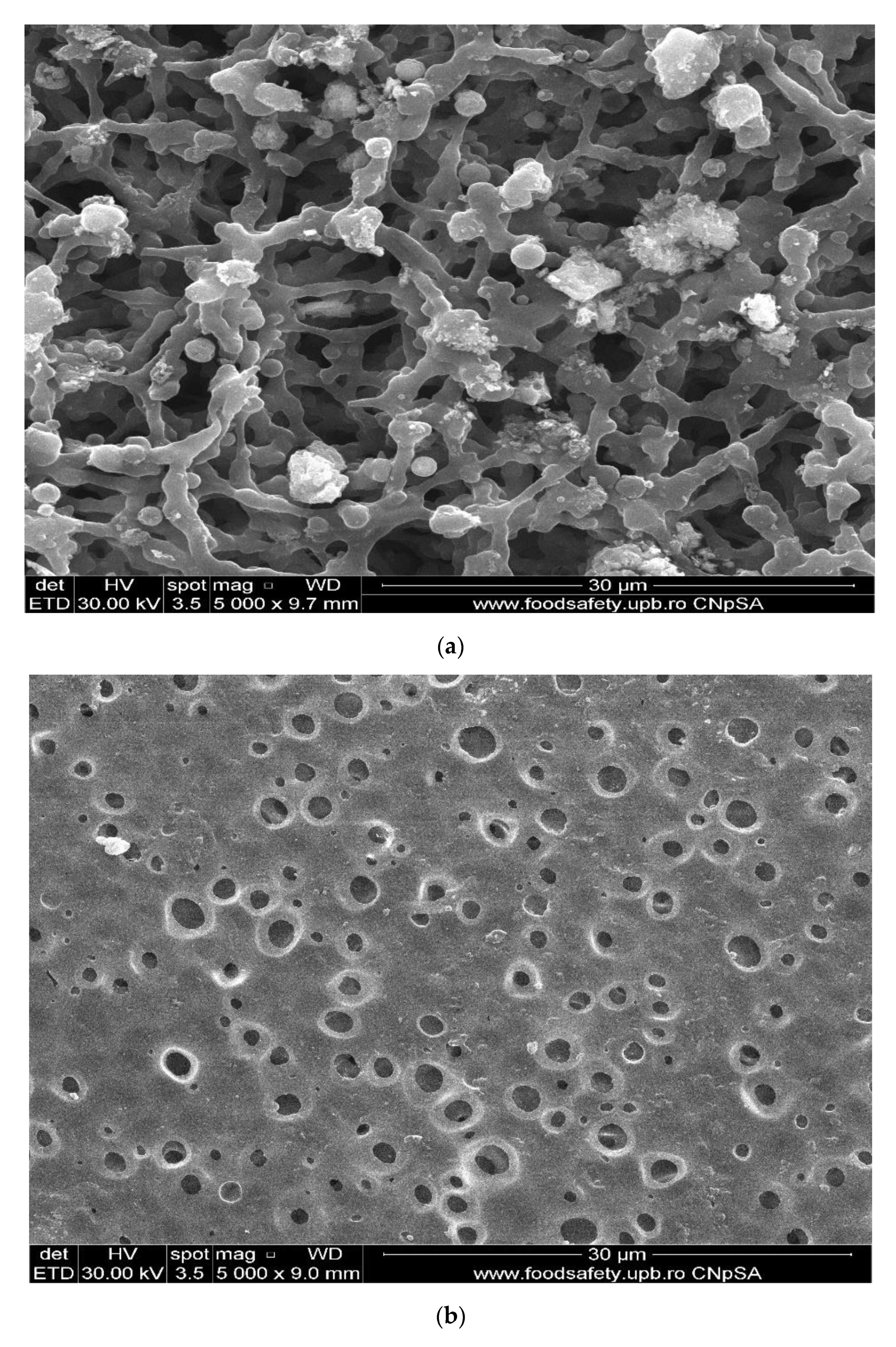 Membranes 11 00633 g007a 550