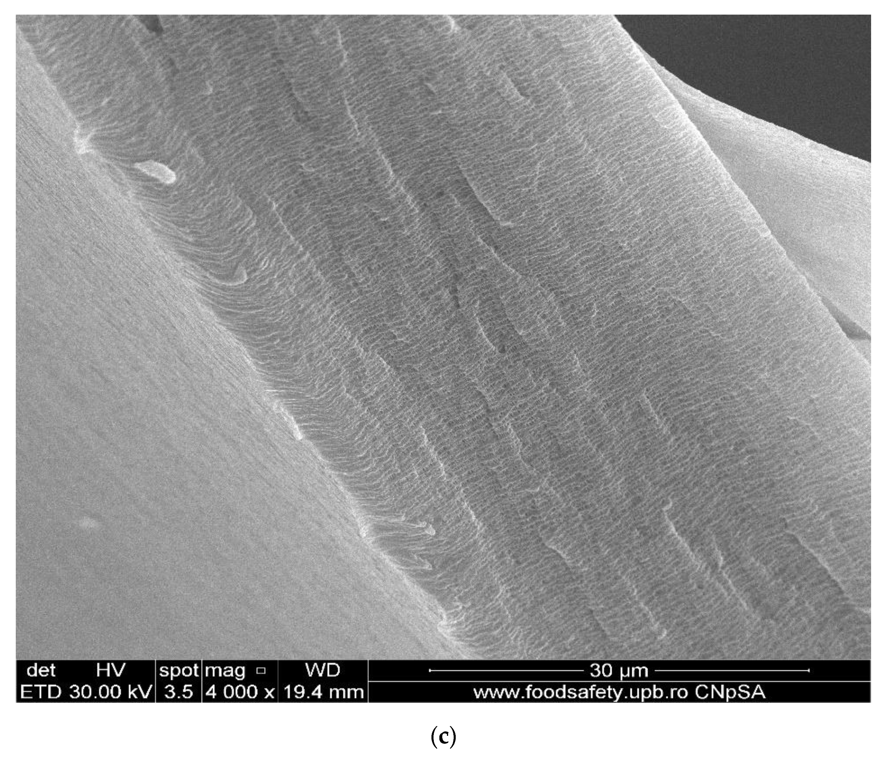 Membranes 11 00633 g007b 550