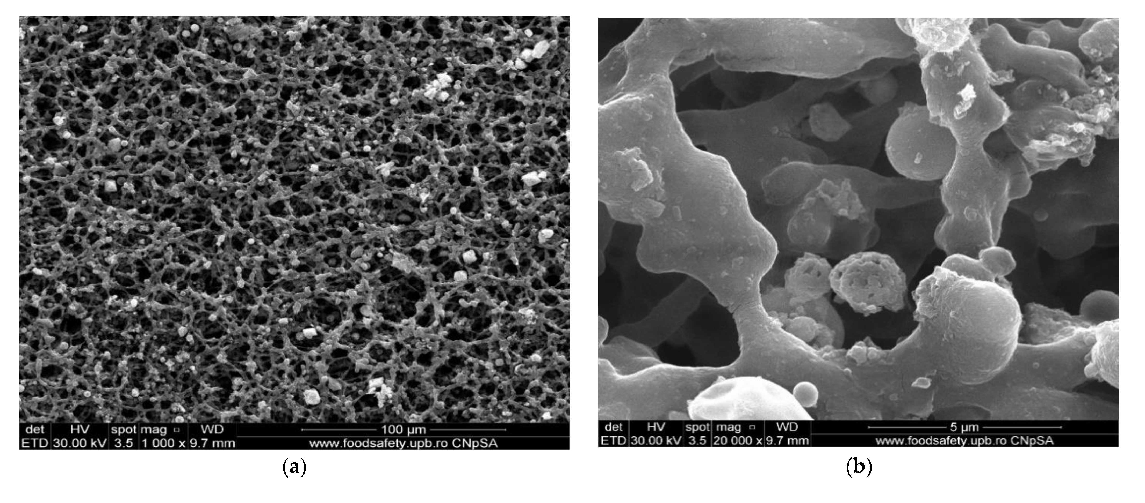 Membranes 11 00633 g008a 550