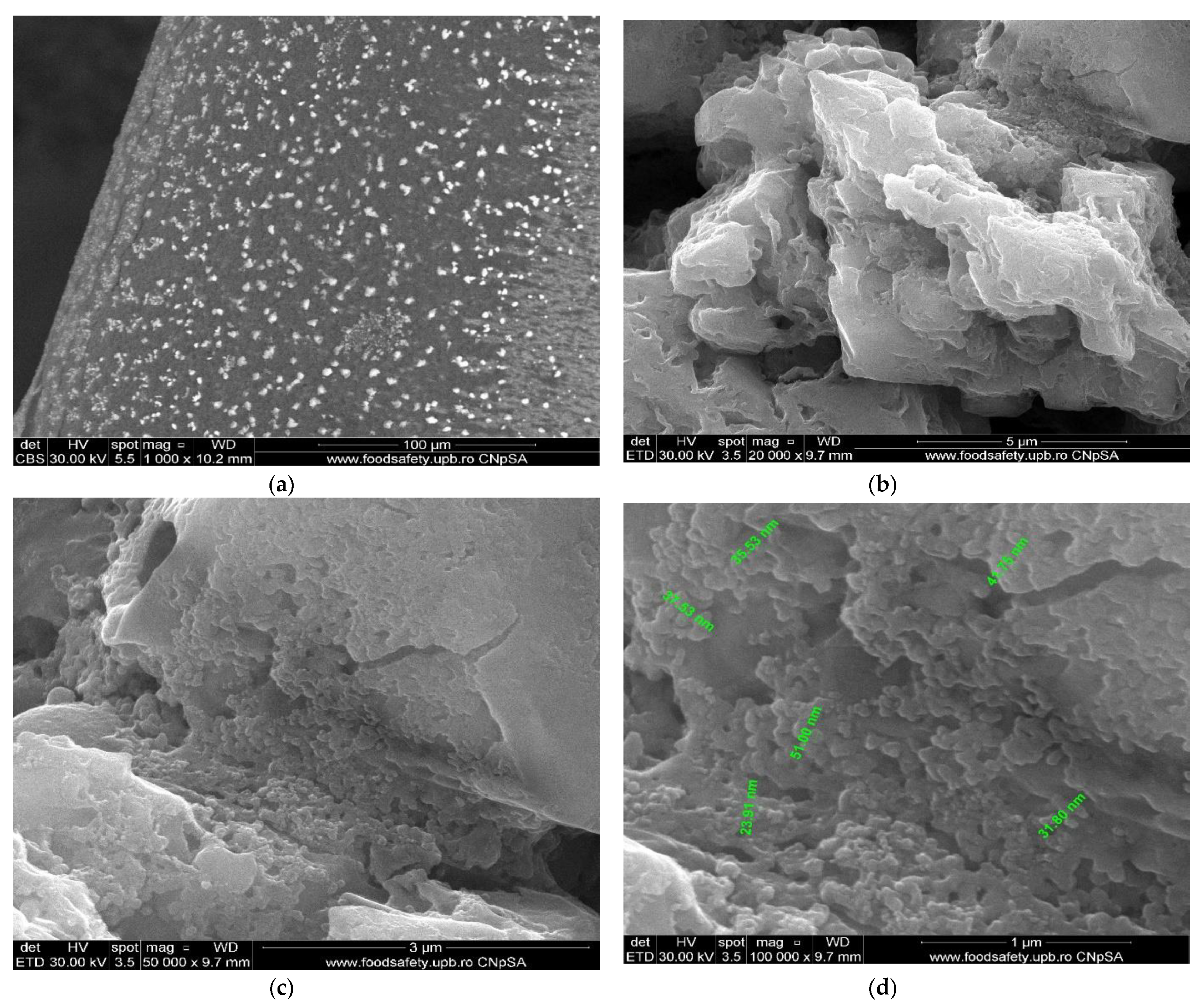 Membranes 11 00633 g010 550