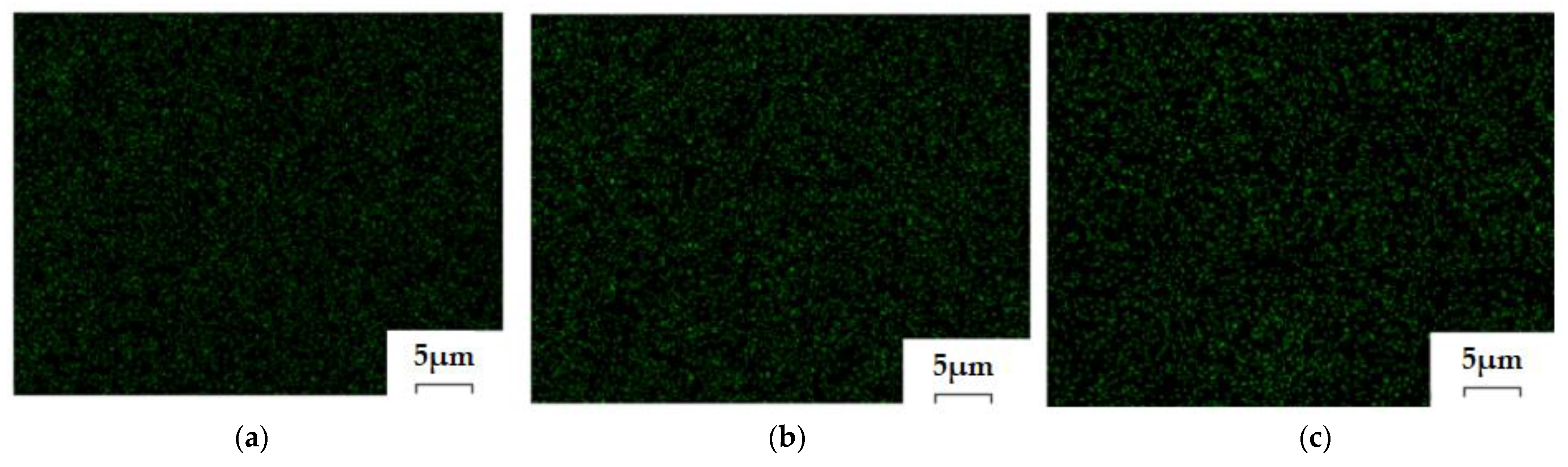 Membranes 11 00633 g015 550