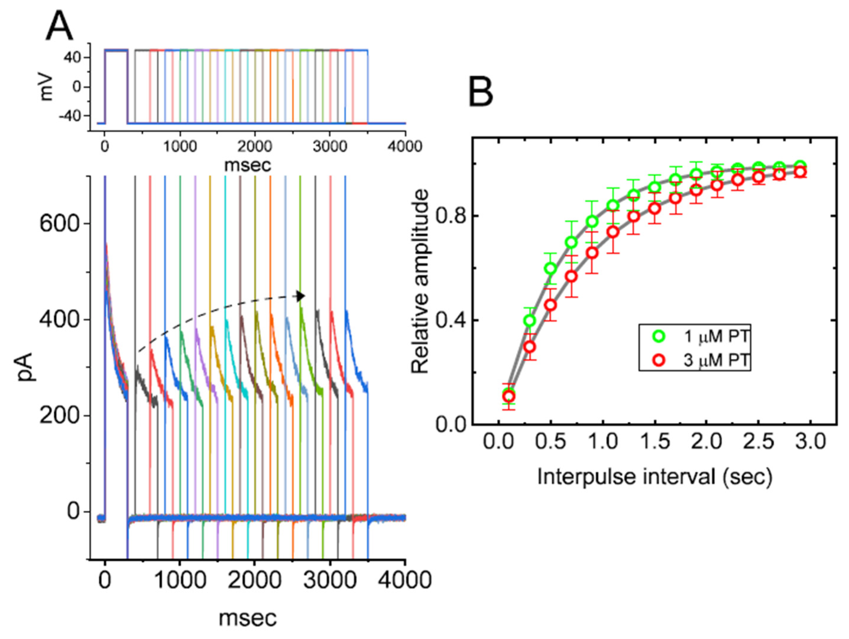 Membranes 11 00636 g005 Membranes 11 00636 g005