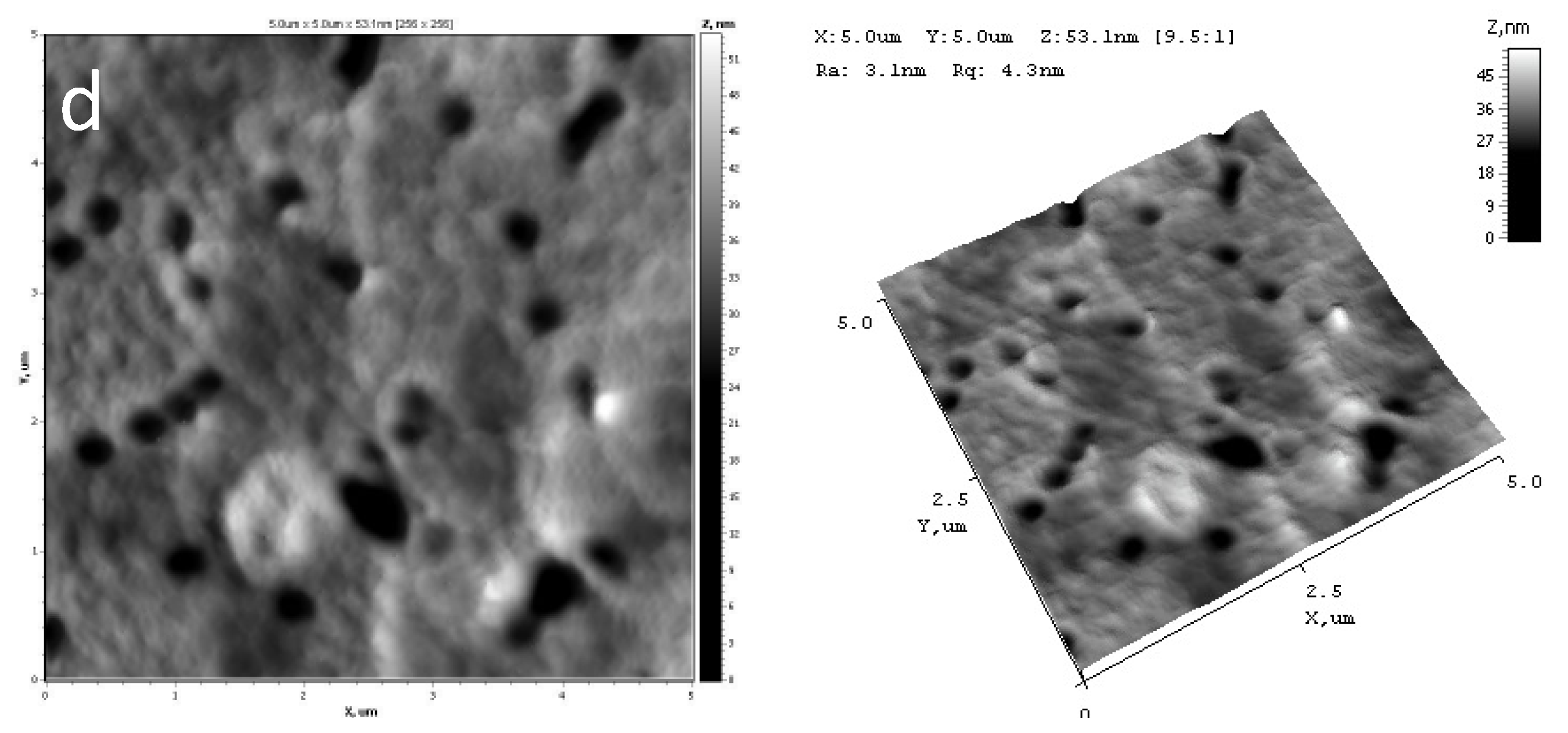 Membranes 11 00637 g002b 550