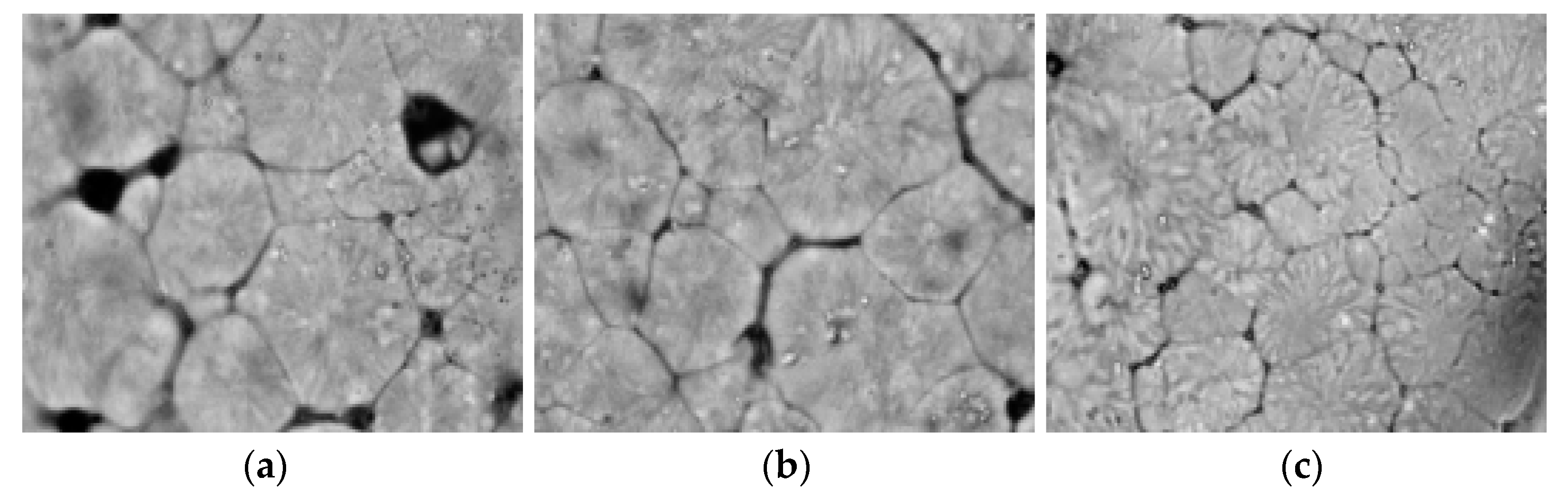 Membranes 11 00640 g007