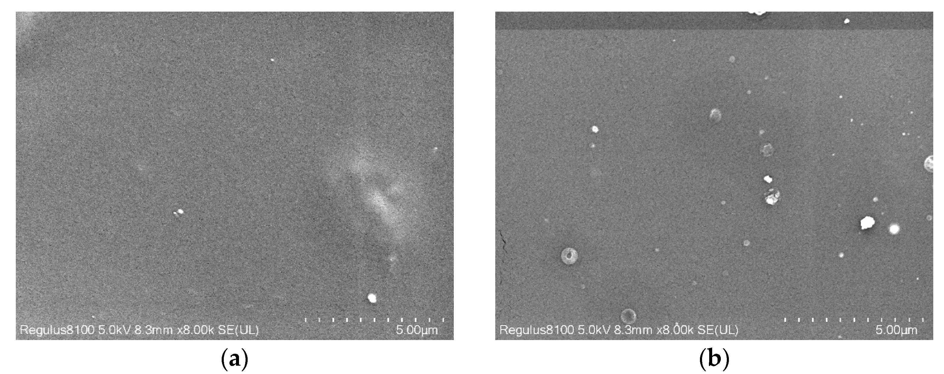 Membranes 11 00640 g011a