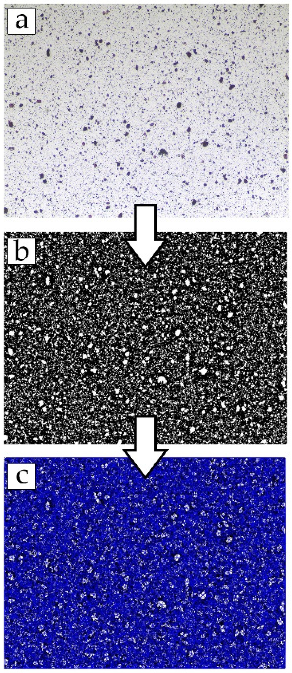 Membranes 11 00641 g002