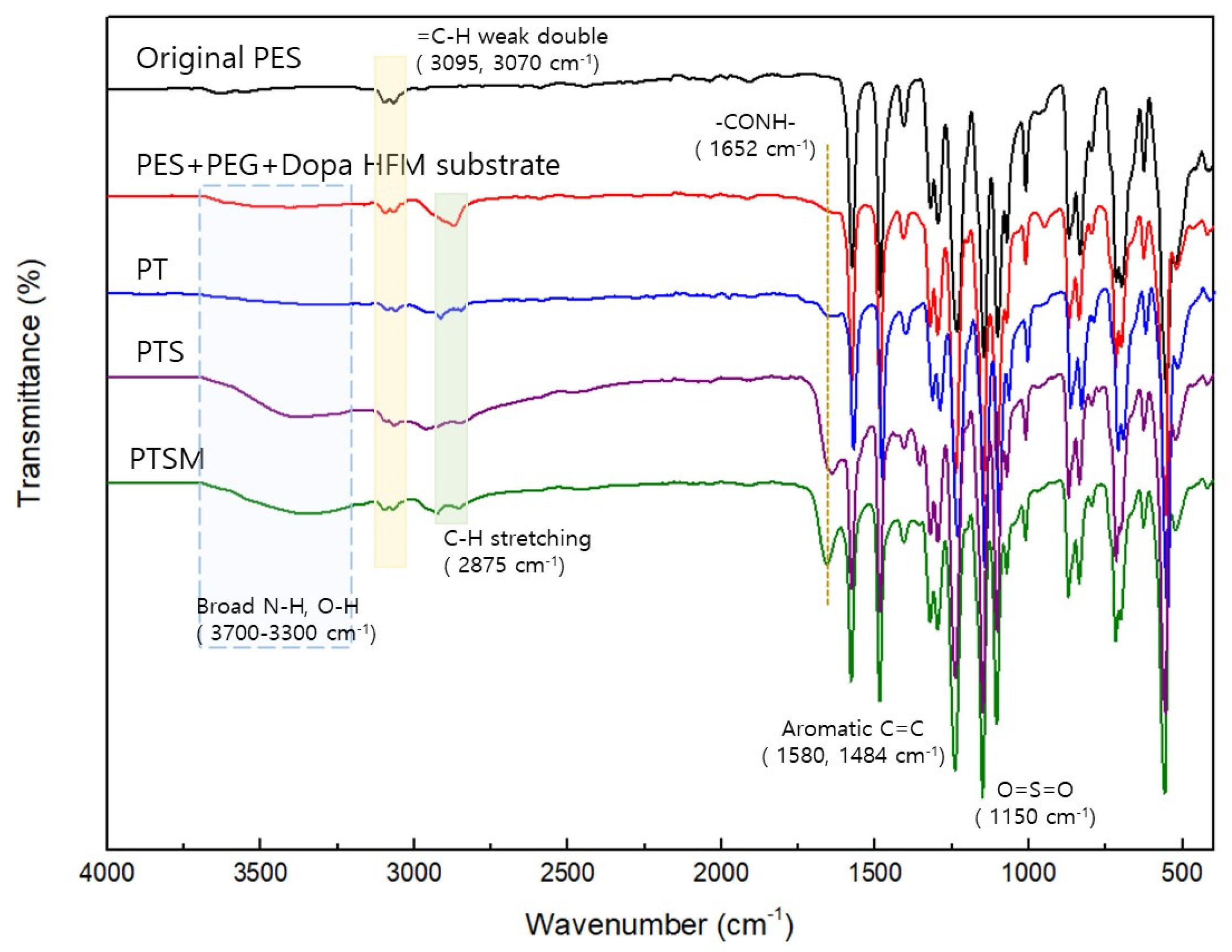 Membranes 11 00650 g003