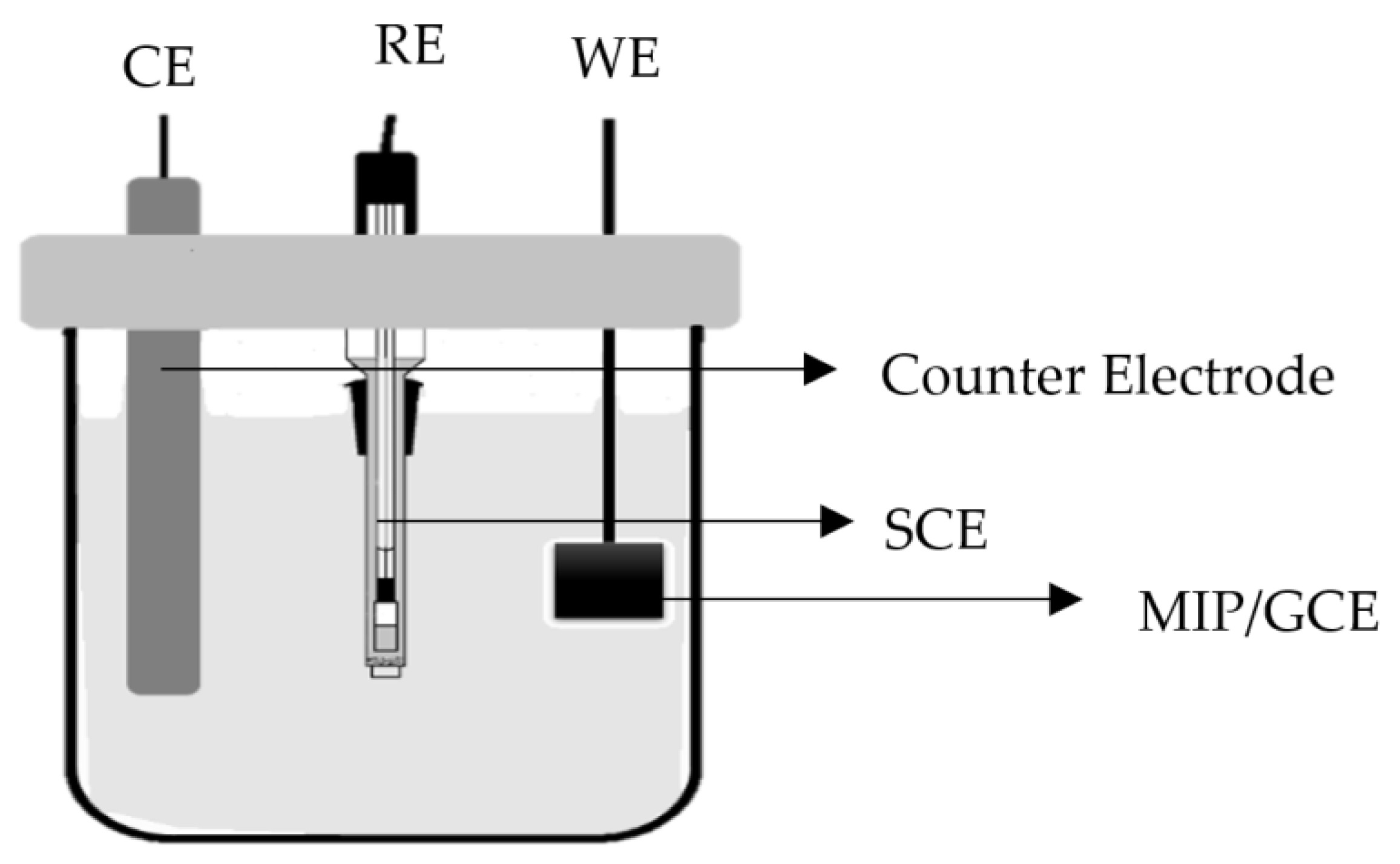 Membranes 11 00657 g002 550