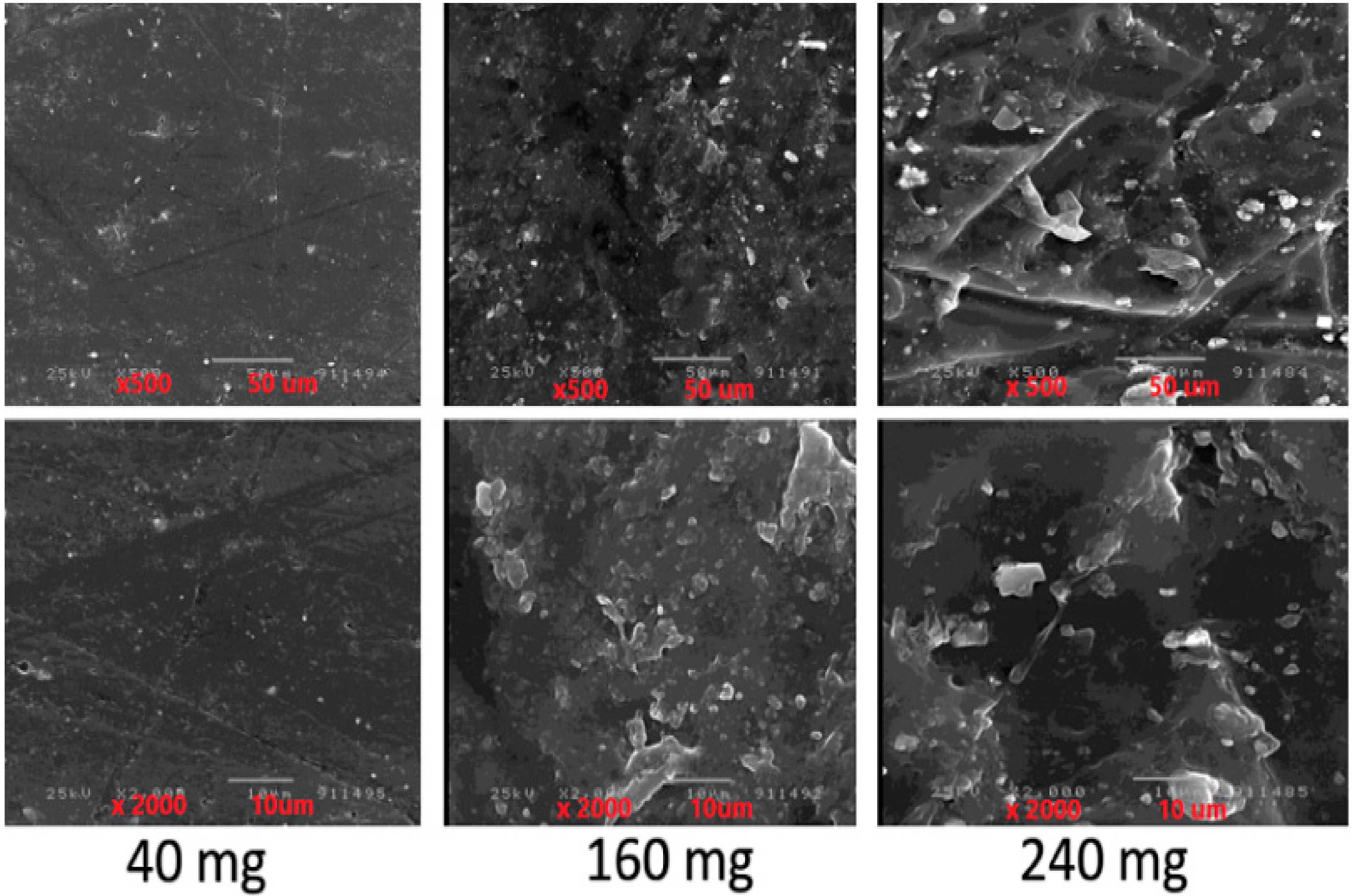 Membranes 11 00659 g002