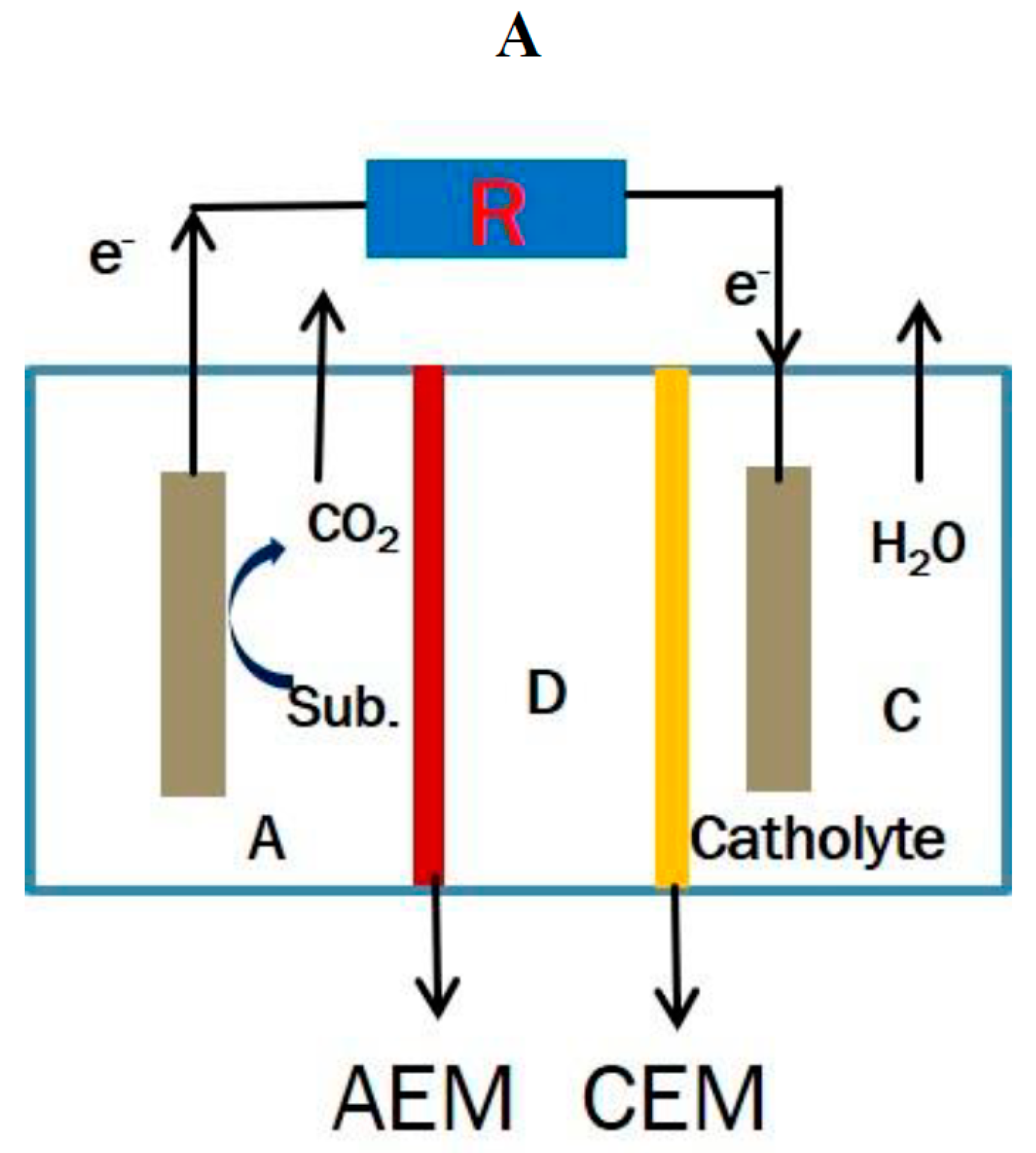 Membranes 11 00661 g001a
