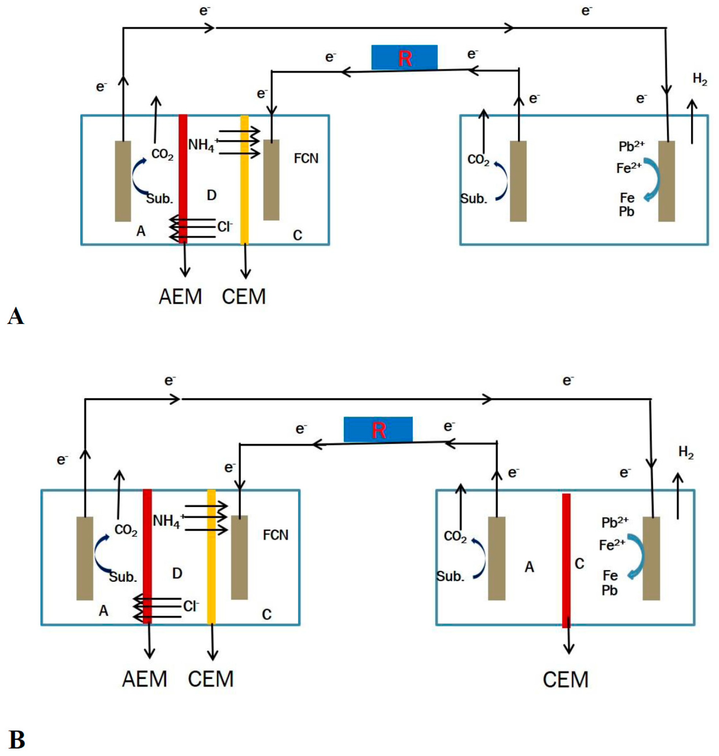 Membranes 11 00661 g003