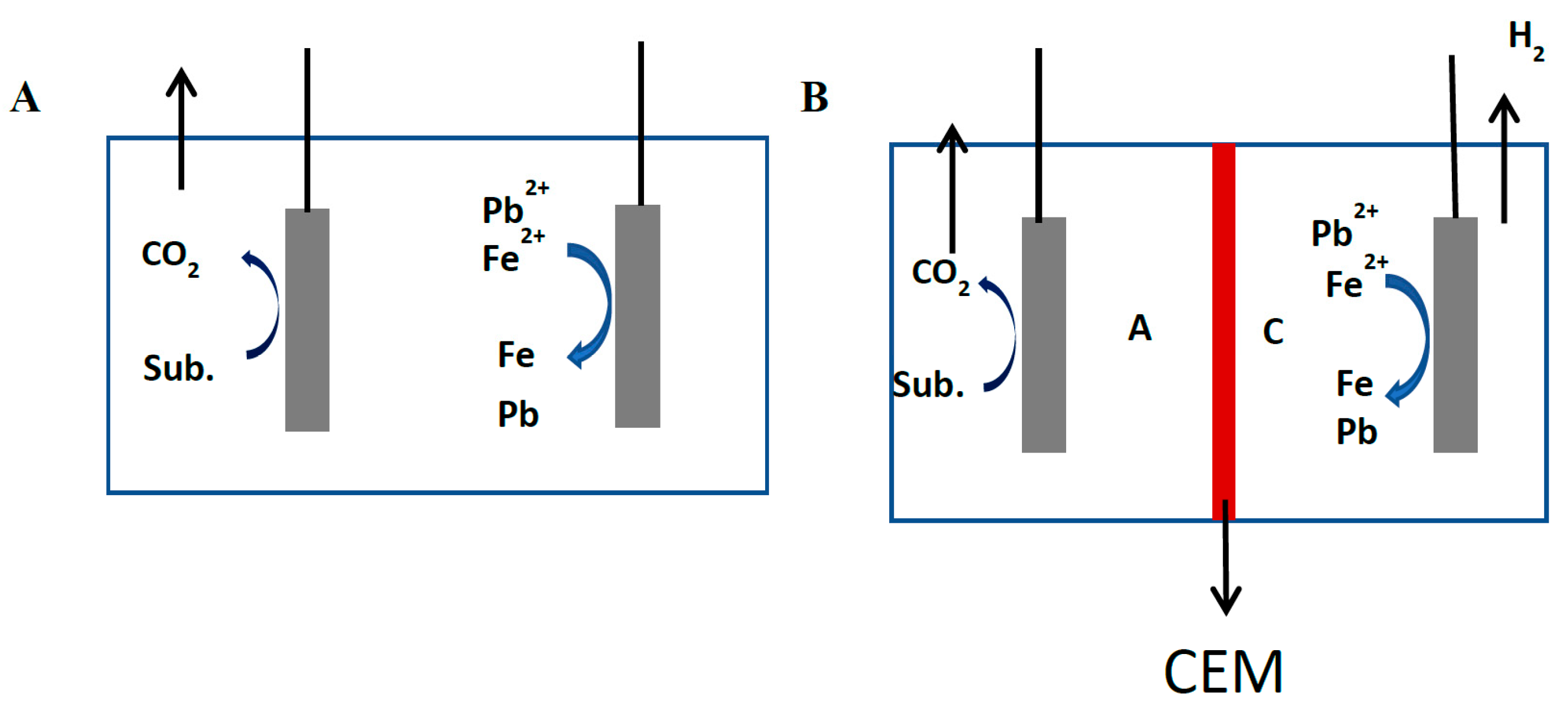 Membranes 11 00661 g004
