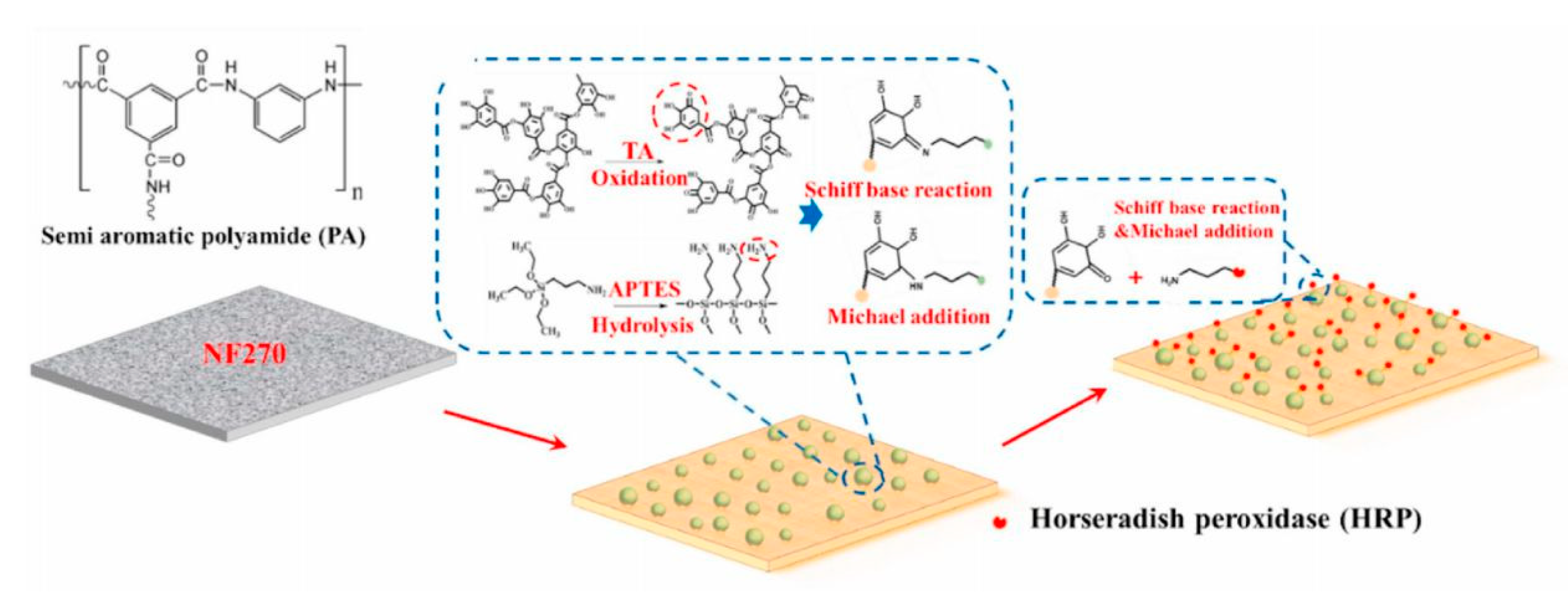 Membranes 11 00662 g003