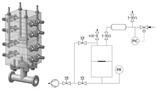 Porous Medium Equation in Graphene Oxide Membrane: Nonlinear 
