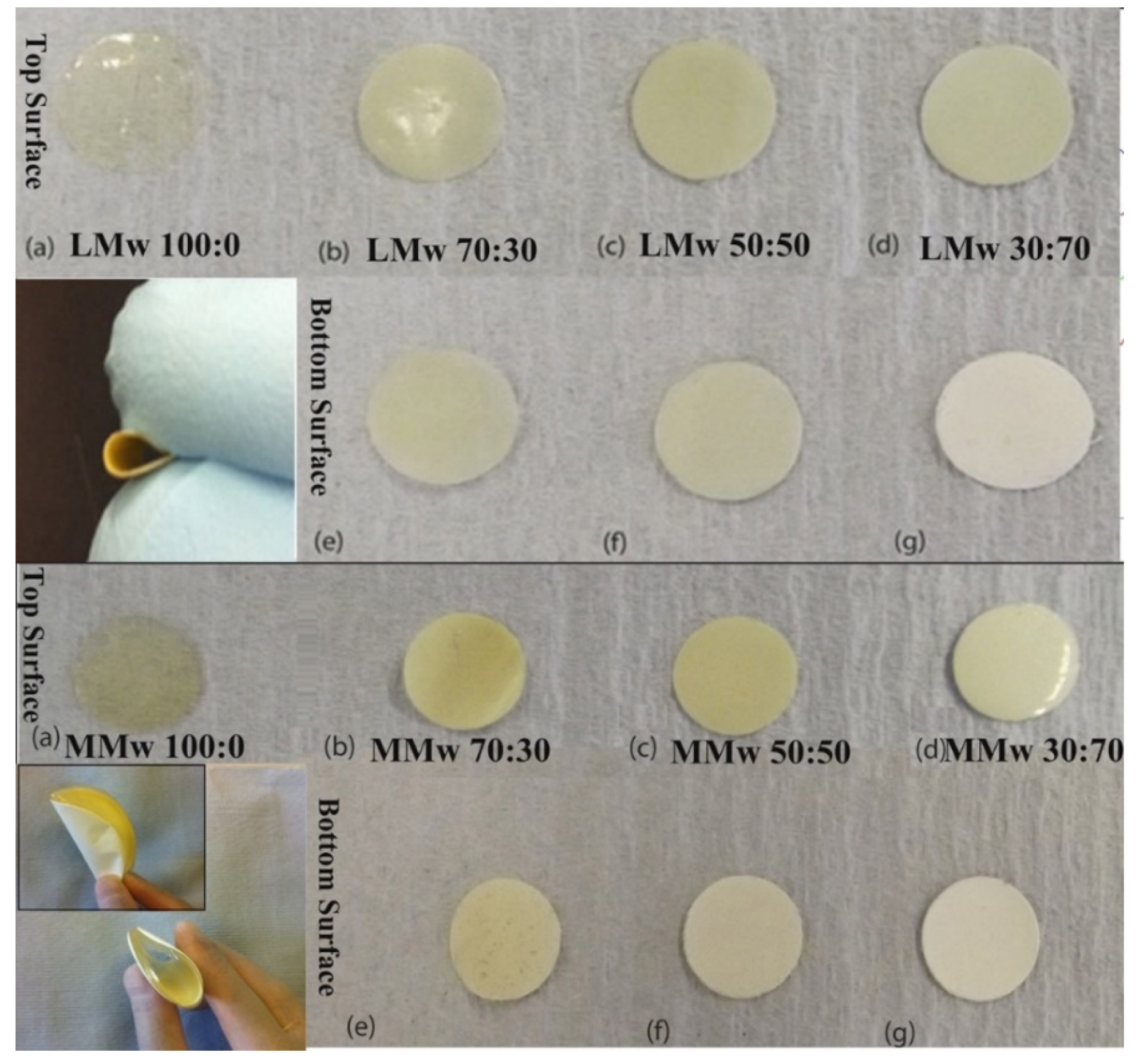 Membranes 11 00667 g001