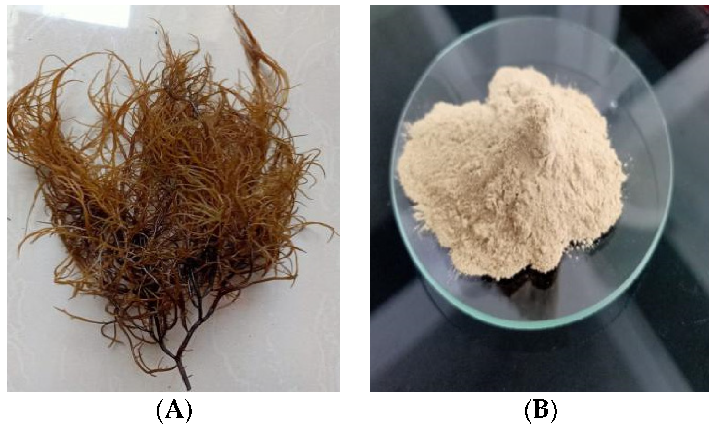 Membranes 11 00668 g001 Membranes 11 00668 g001
