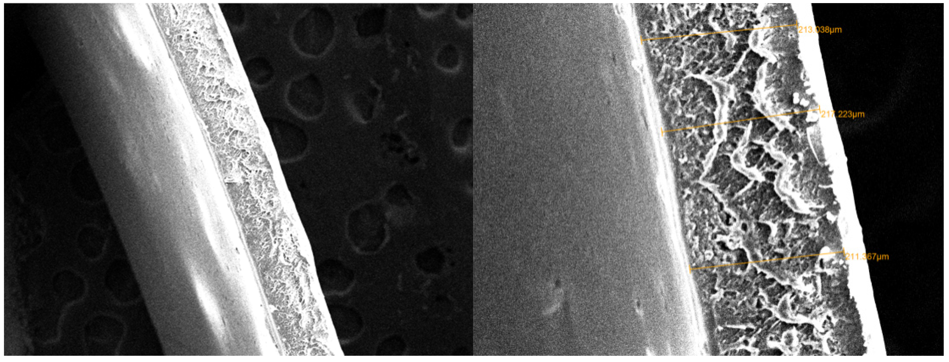 Membranes 11 00668 g004 Membranes 11 00668 g004