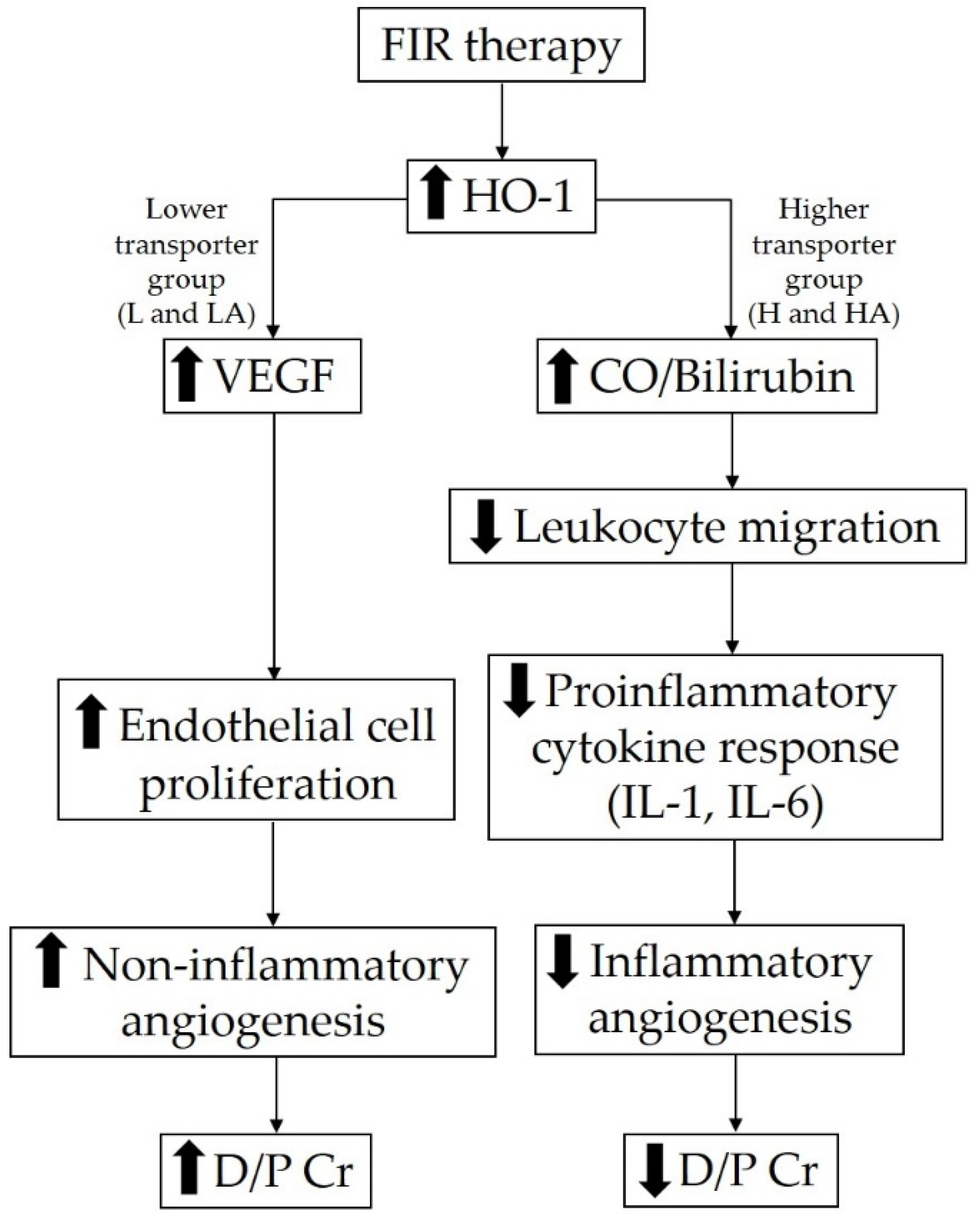 Membranes 11 00669 g003