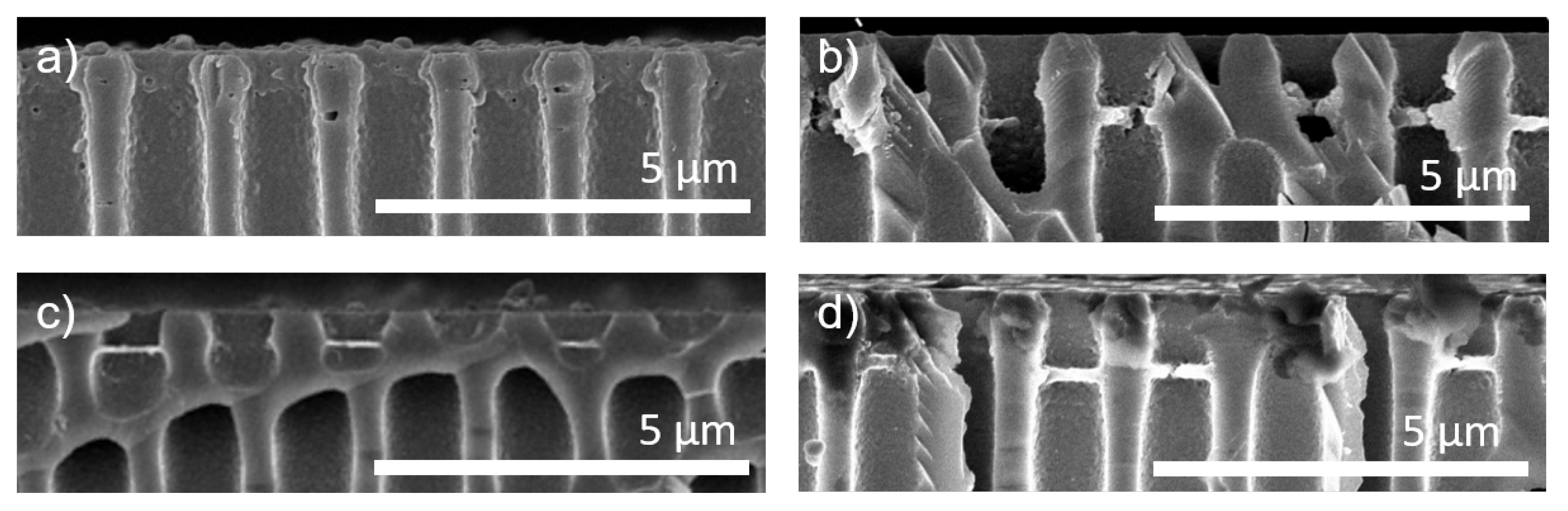 Membranes 11 00671 g004