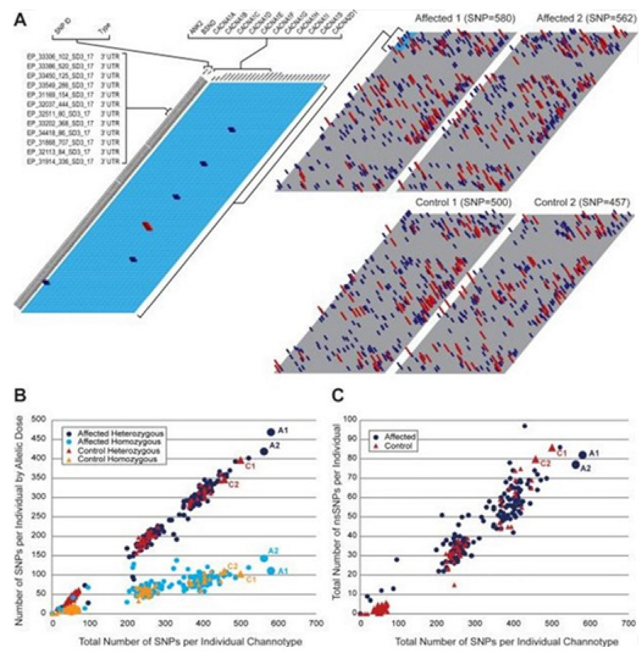 Membranes 11 00672 g007