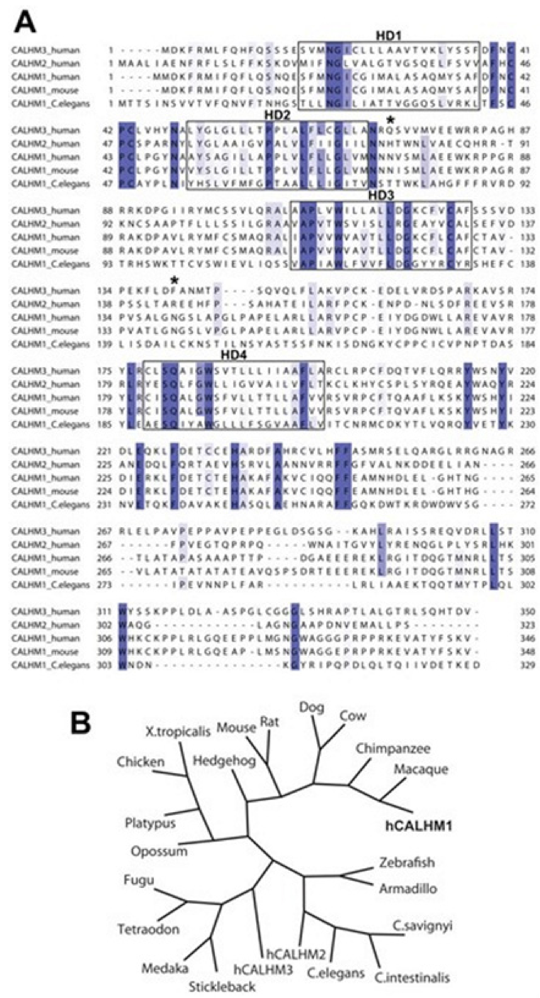 Membranes 11 00672 g009