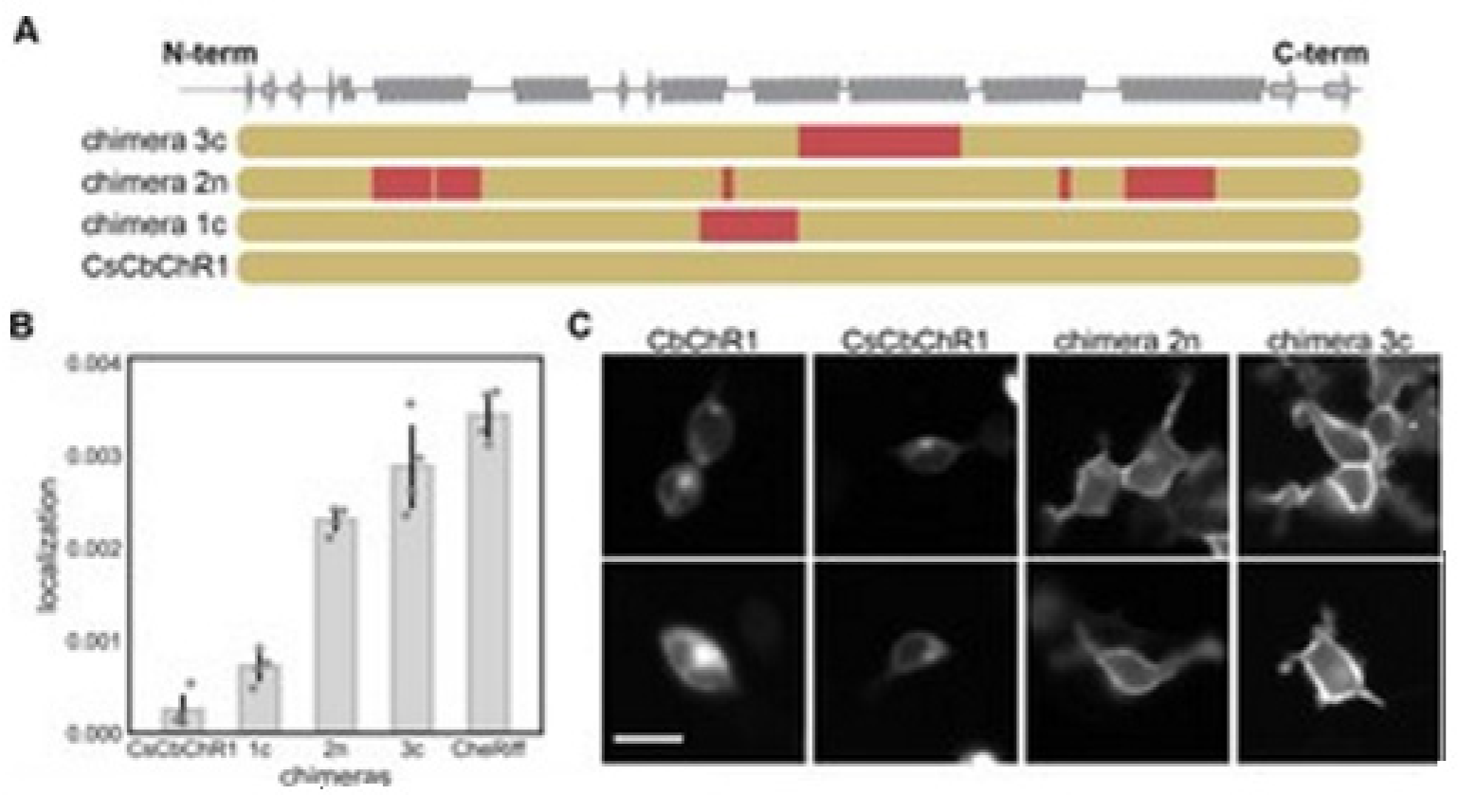 Membranes 11 00672 g018