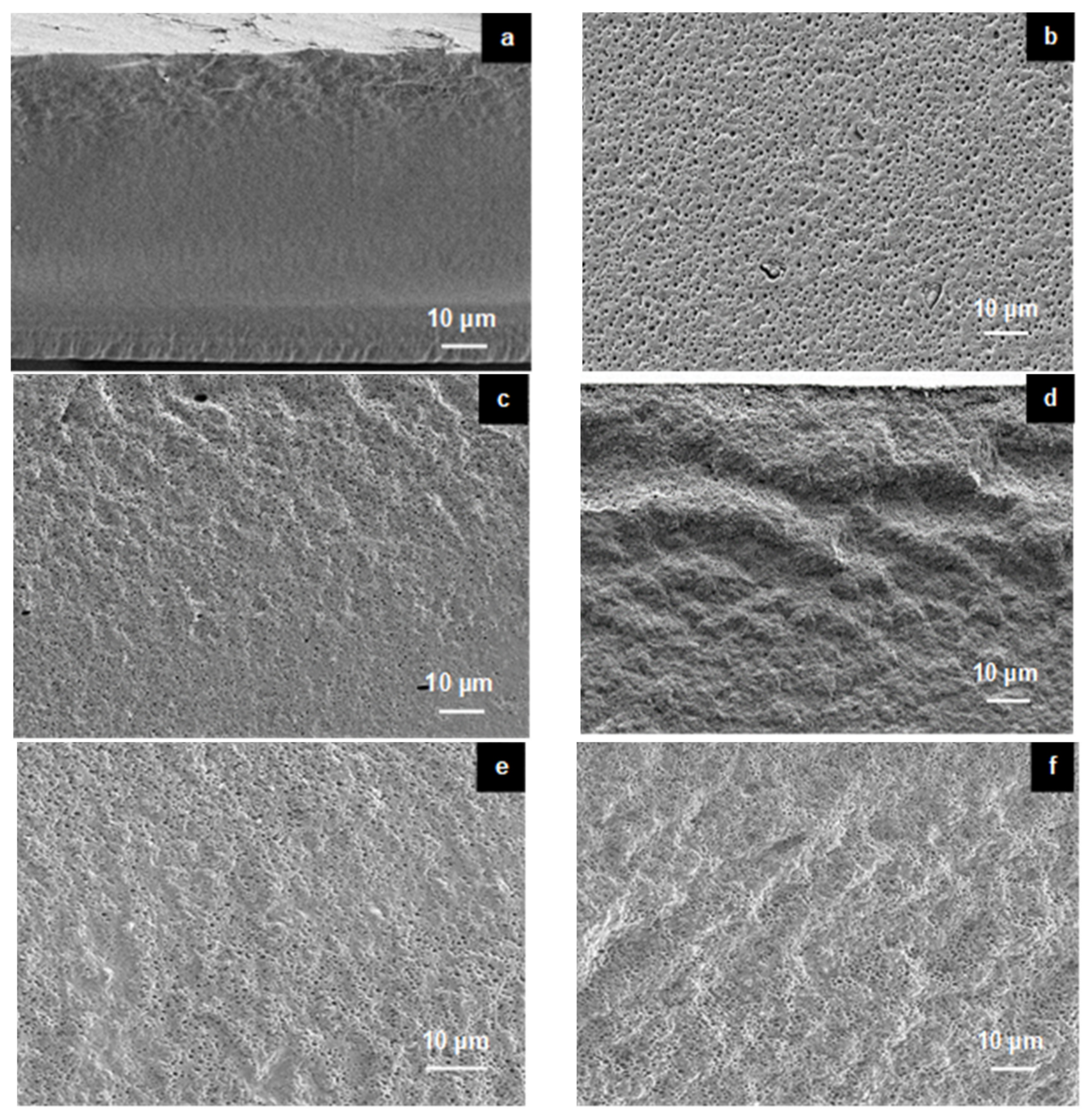Membranes 11 00675 g003a