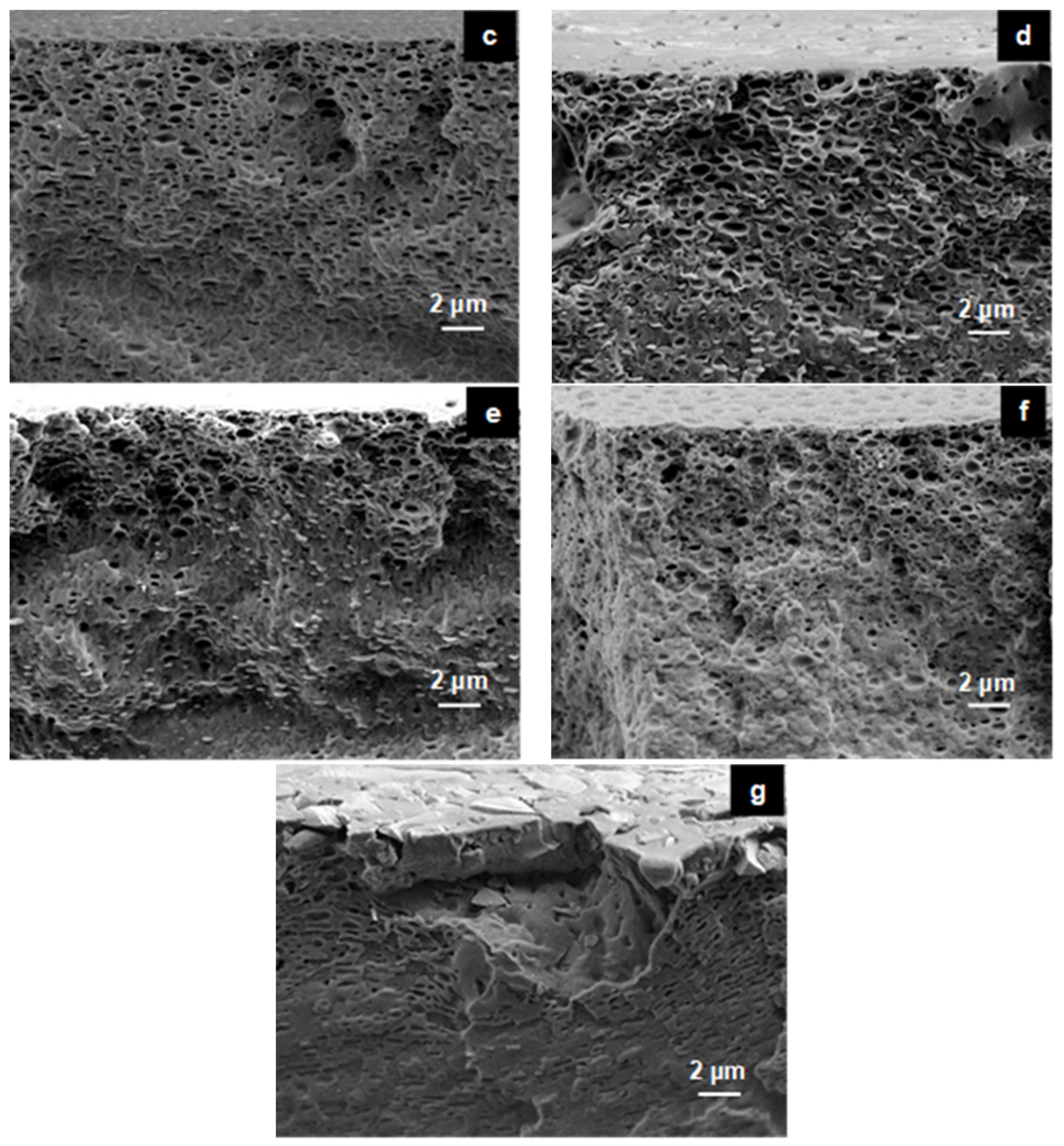 Membranes 11 00675 g008b