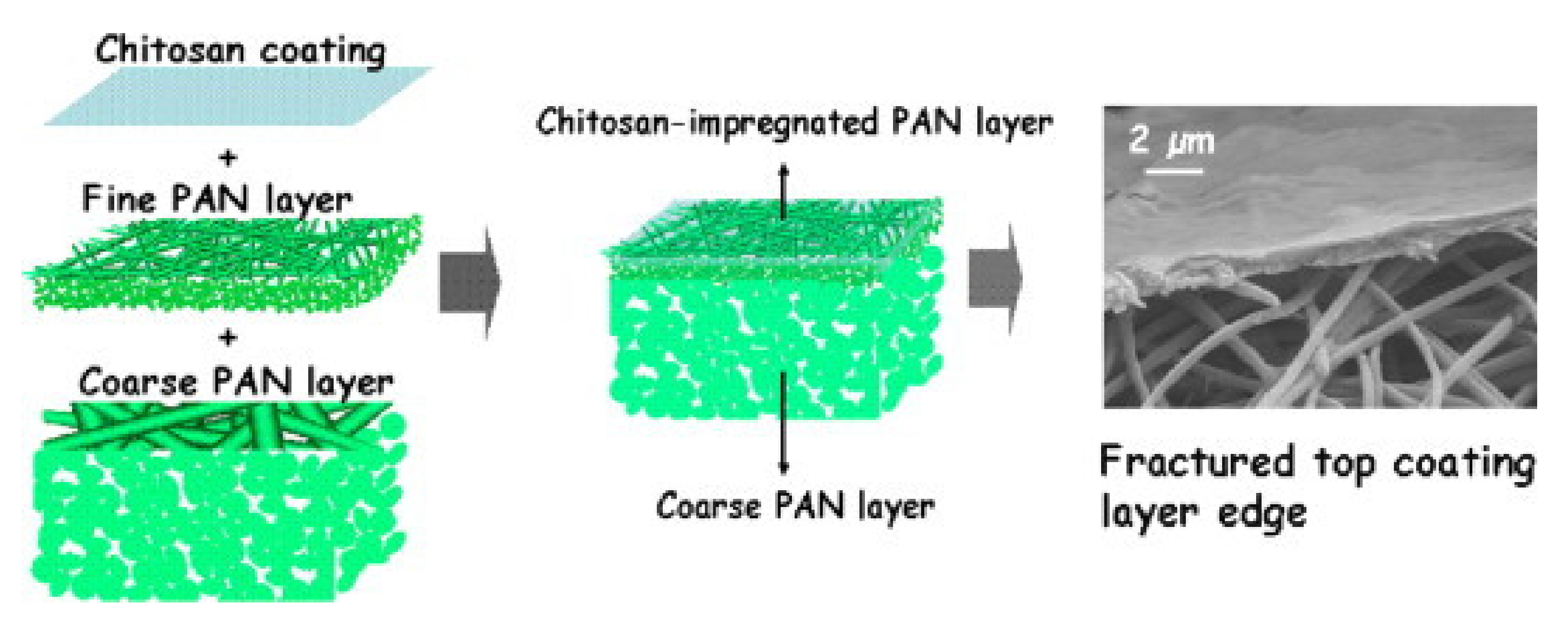 Membranes 11 00678 g002