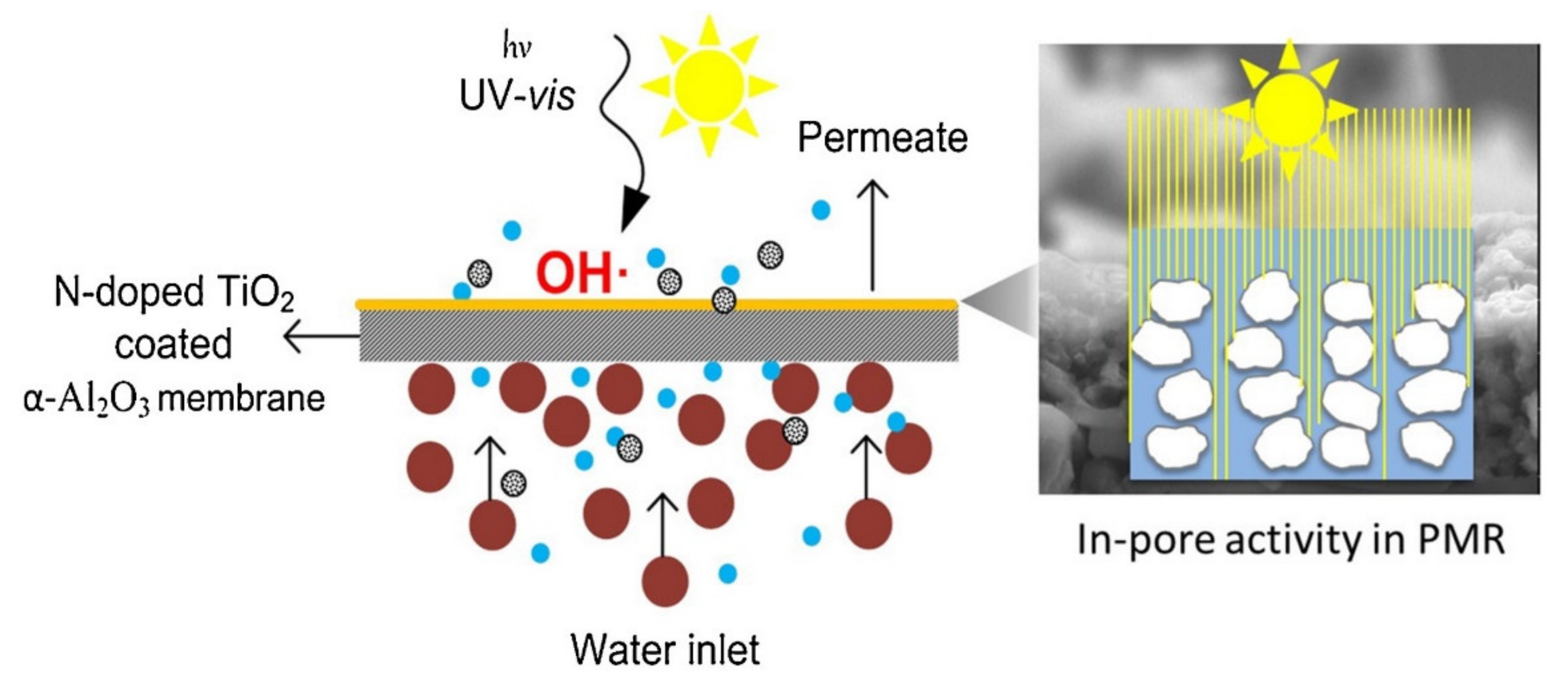 Membranes 11 00678 g008