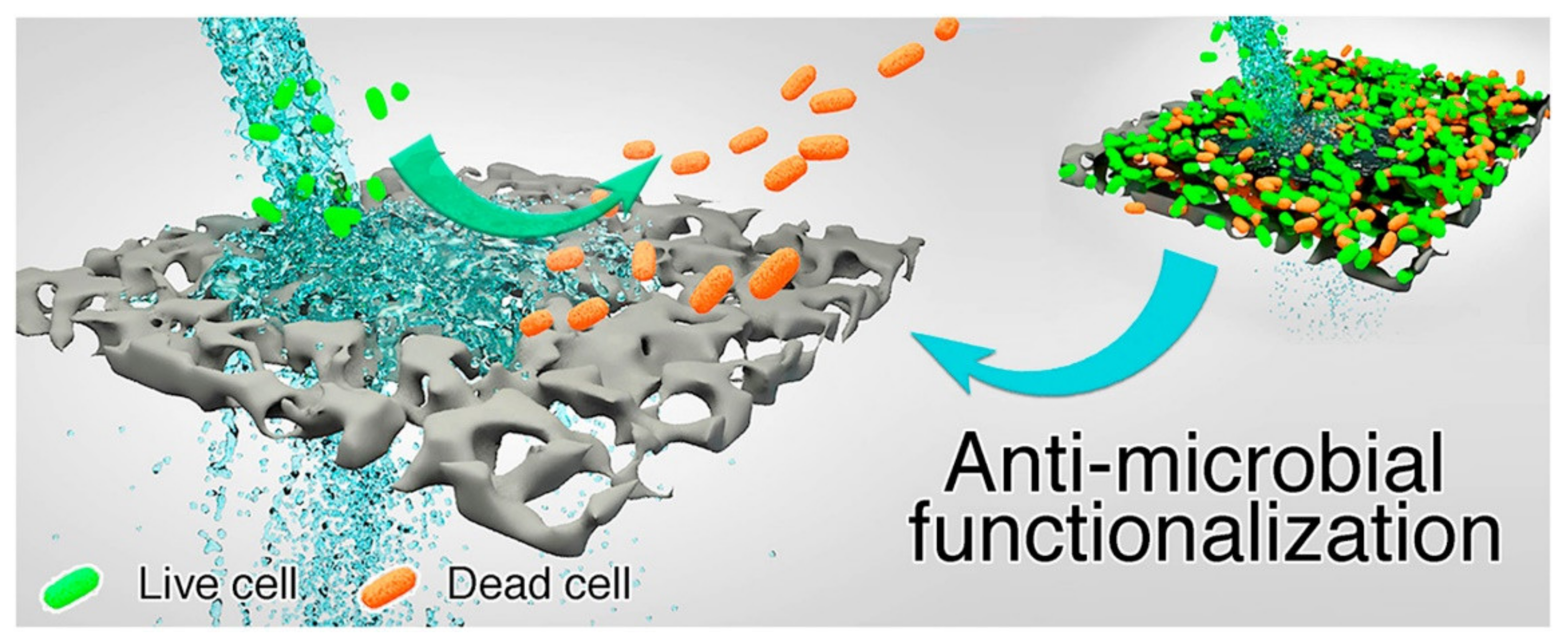 Membranes 11 00678 g010