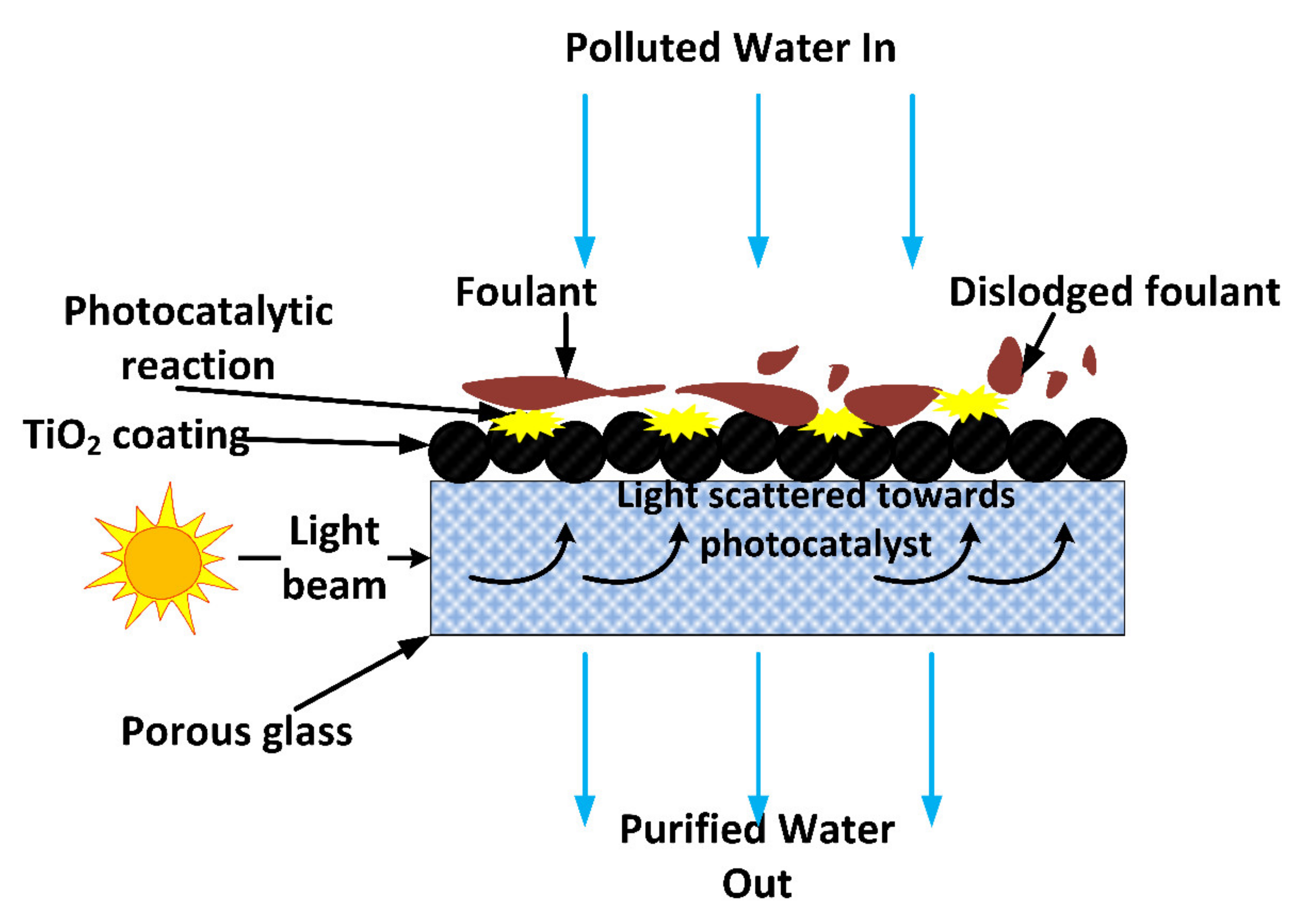 Membranes 11 00678 g015