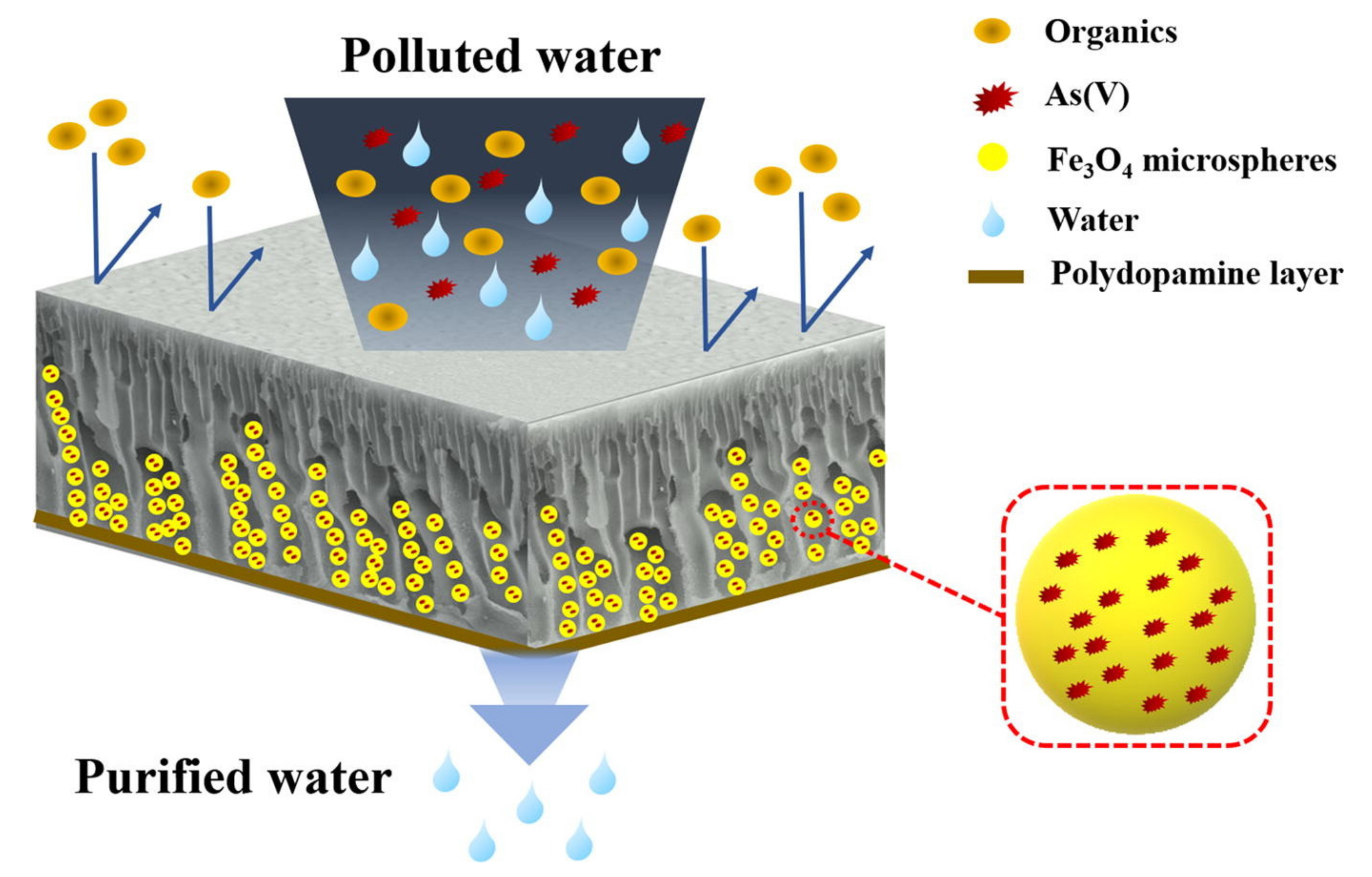 Membranes 11 00678 g018