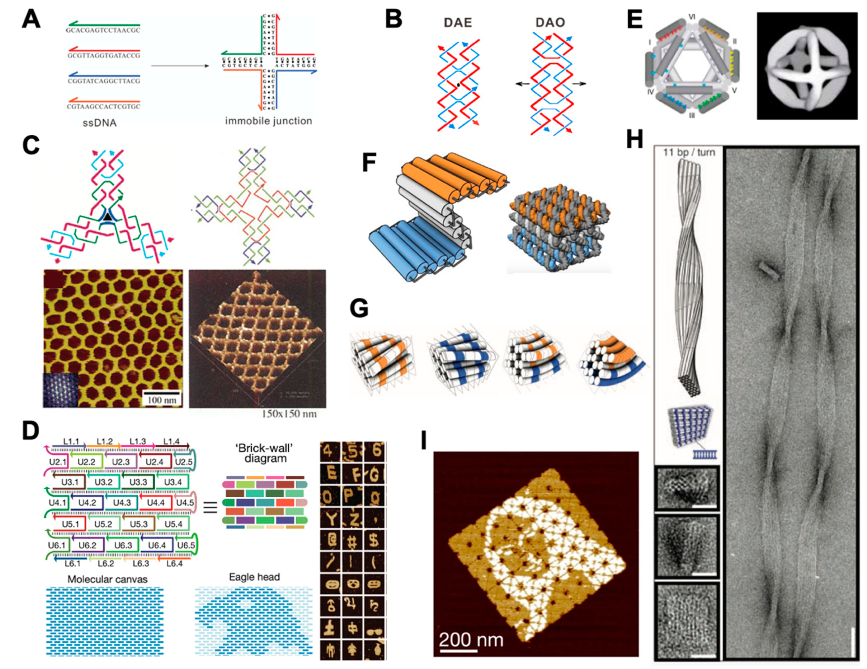 Membranes 11 00683 g001