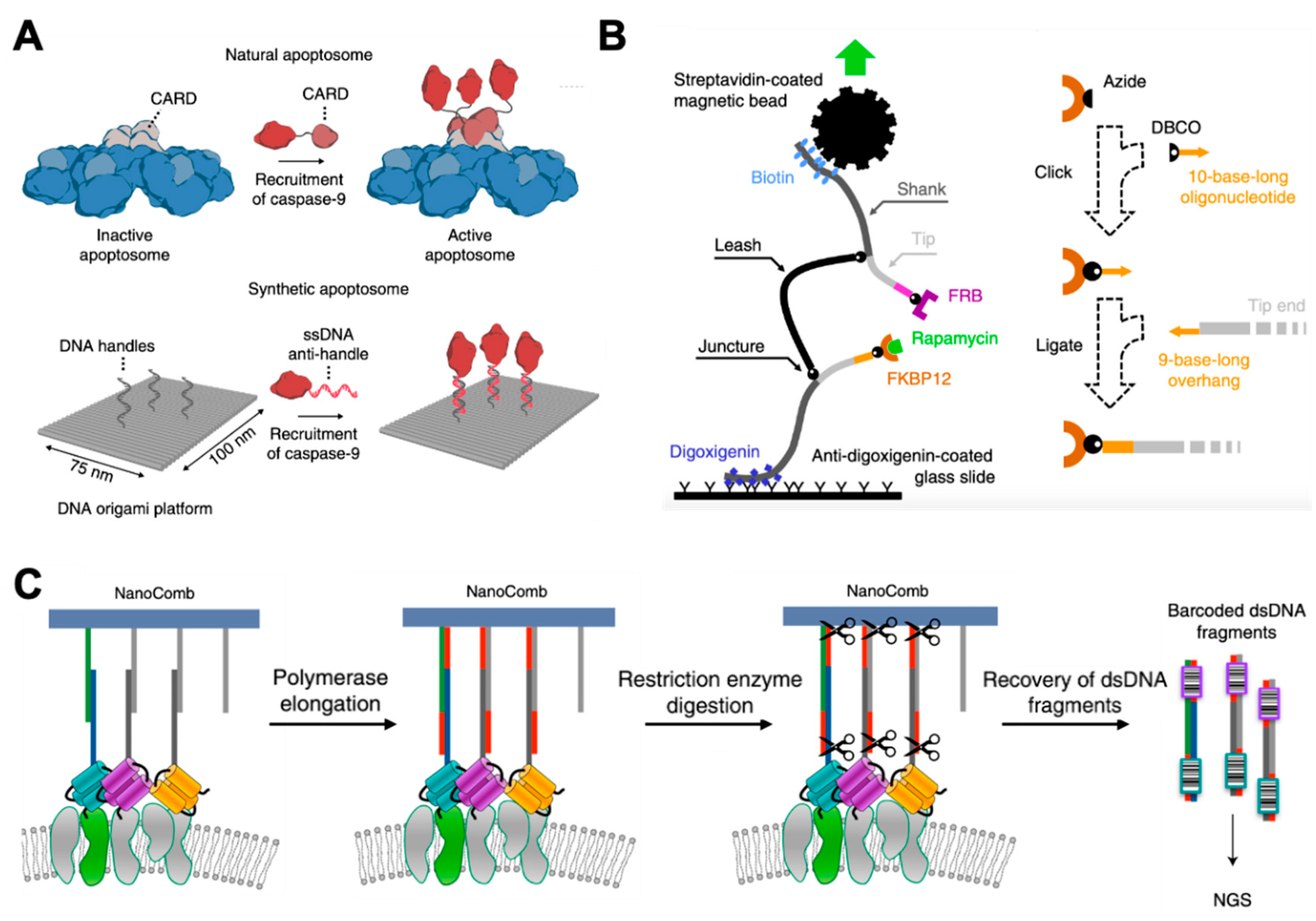 Membranes 11 00683 g004