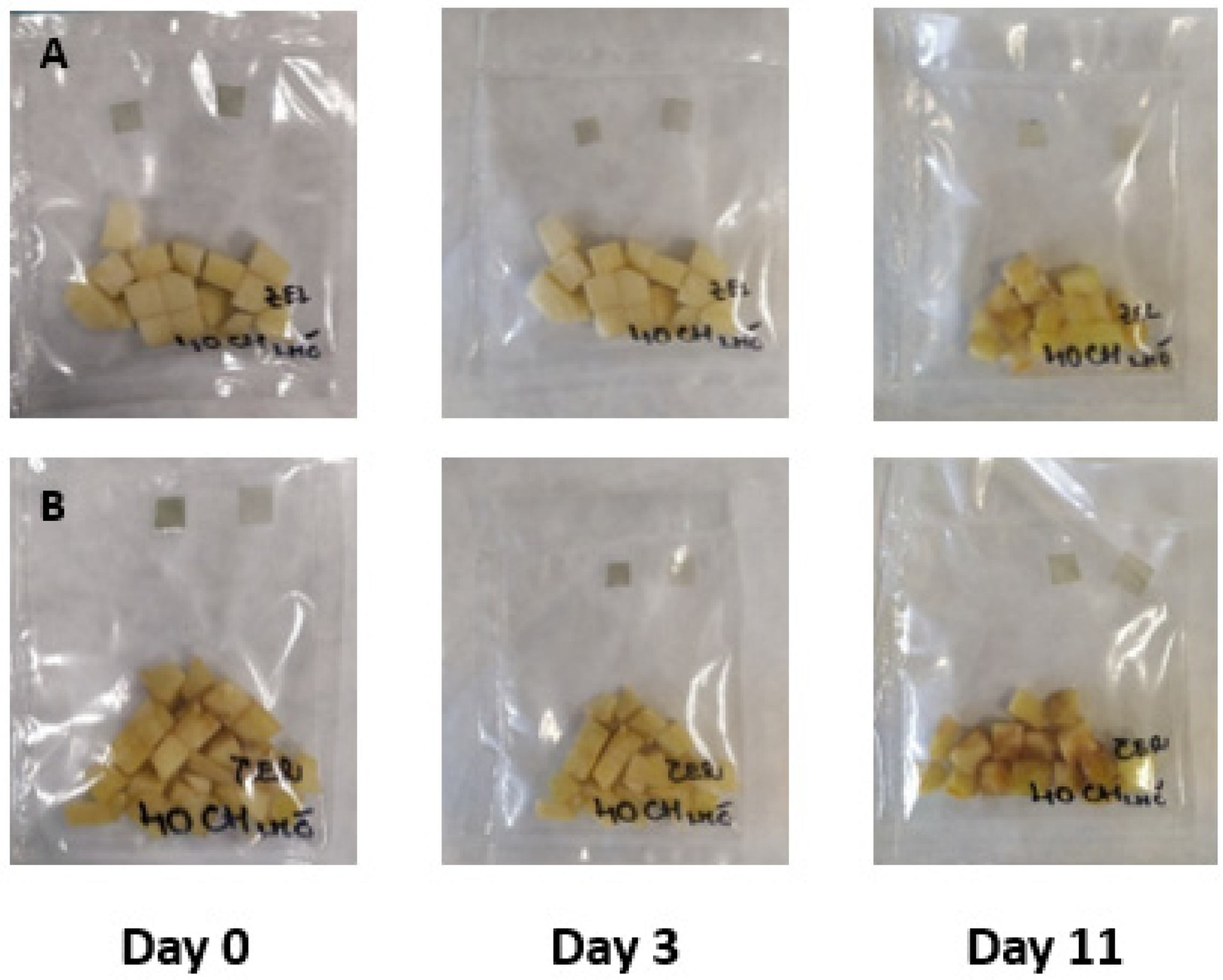 Membranes 11 00684 g004 550