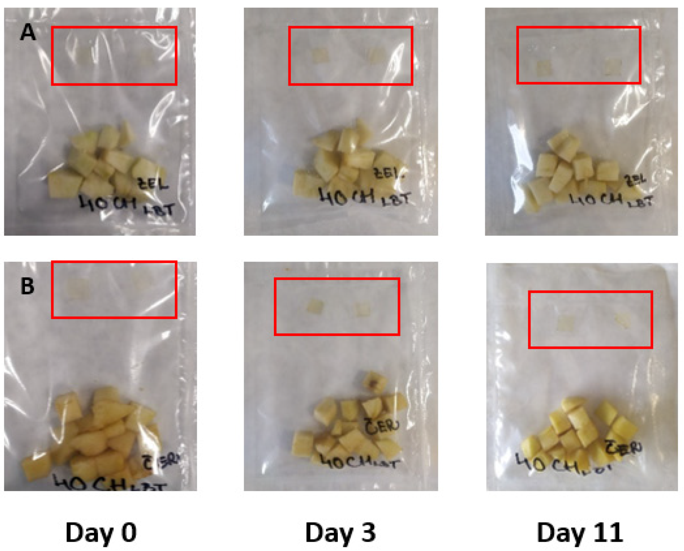 Membranes 11 00684 g005 550