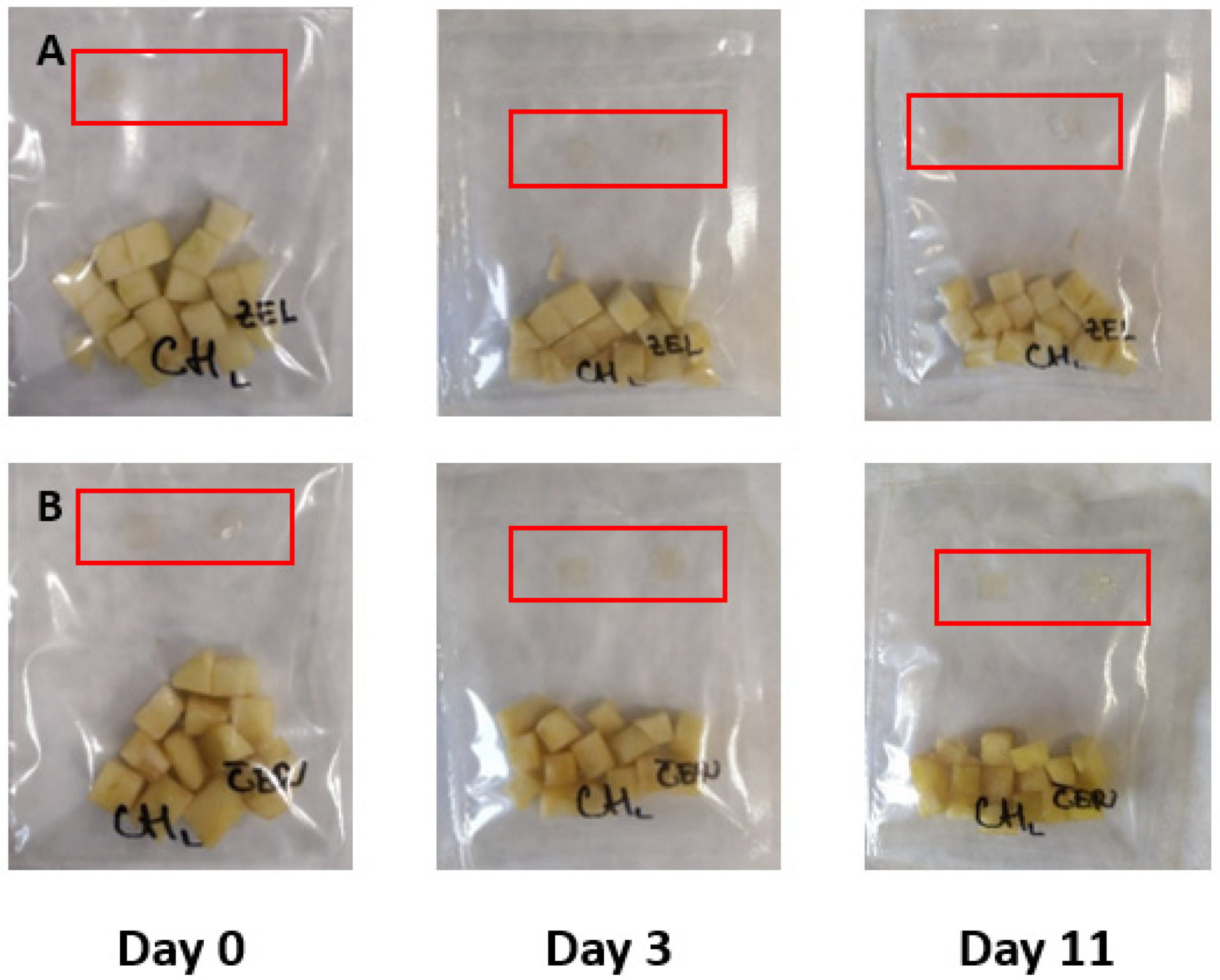 Membranes 11 00684 g006 550
