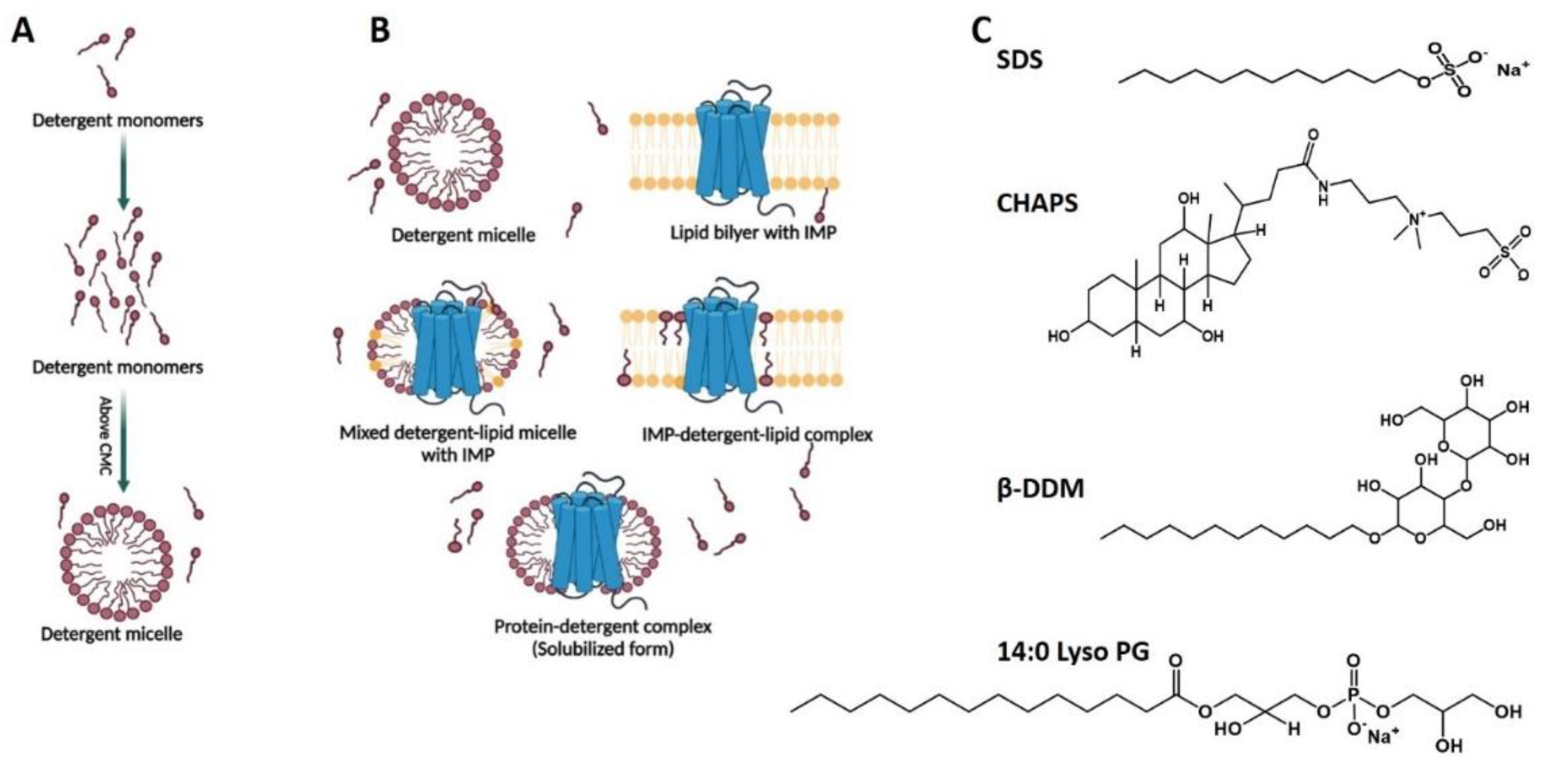 Membranes 11 00685 g002